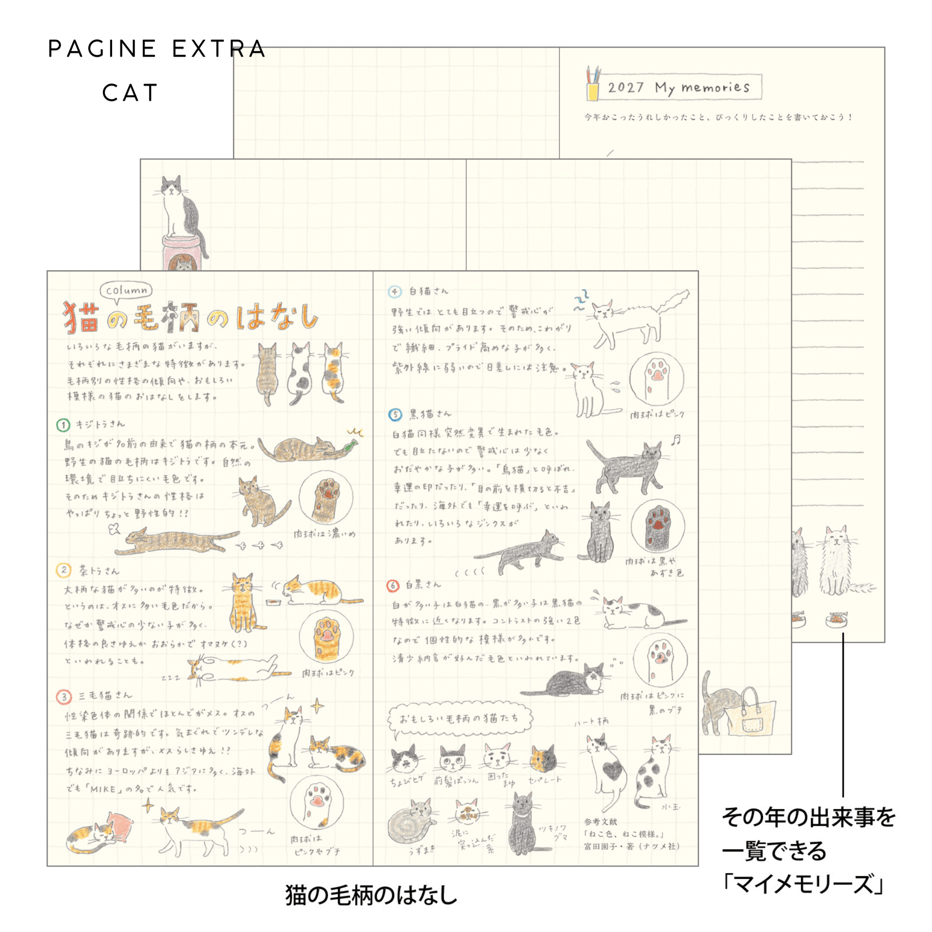 Midori Agenda Agenda Pocket Diary B6 Slim - Midori