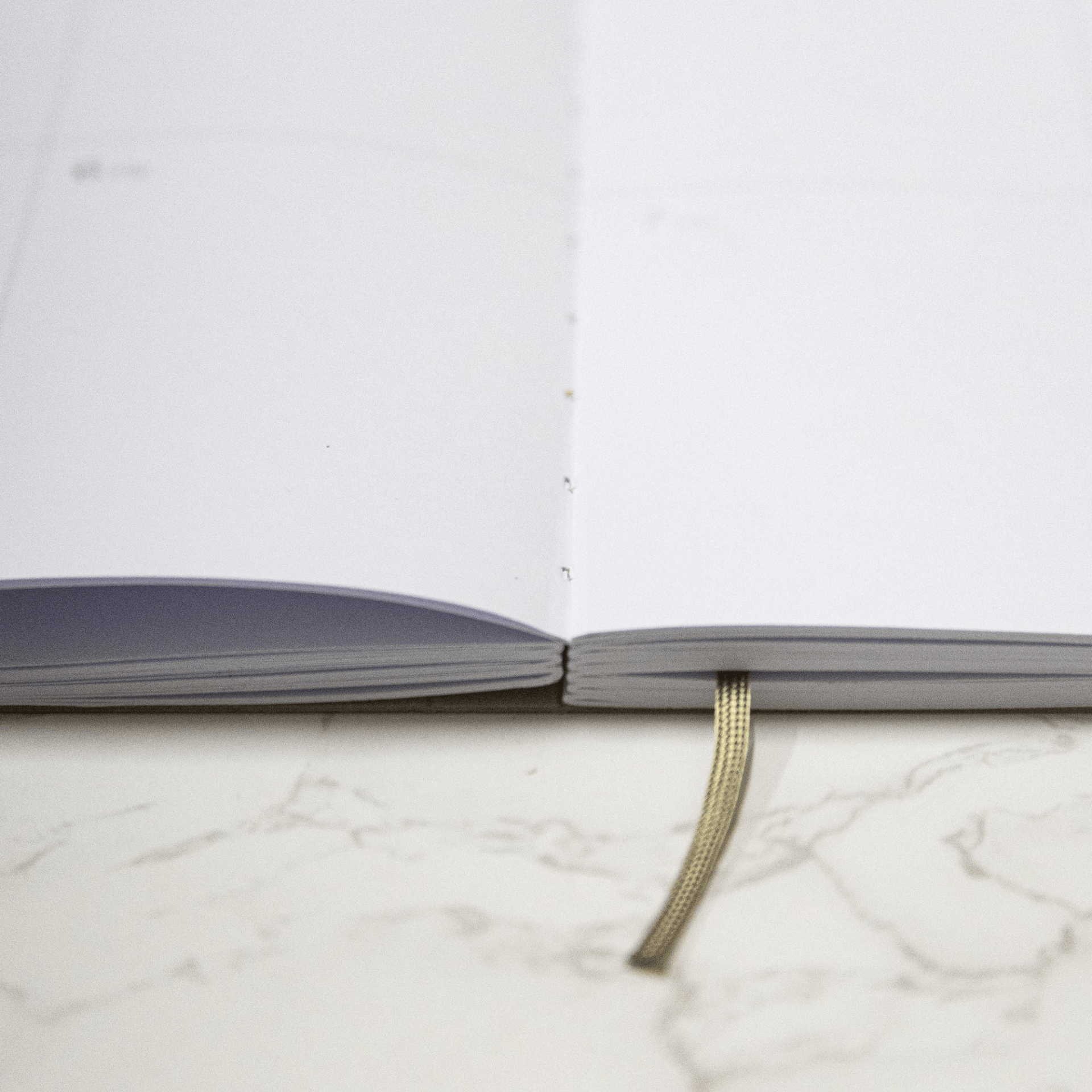 Octagon Agenda Agenda settimanale 2026 Octagon