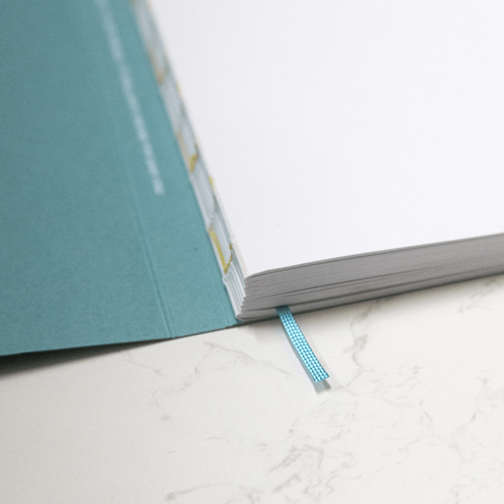 Octagon Agenda Agenda settimanale 2026 Octagon