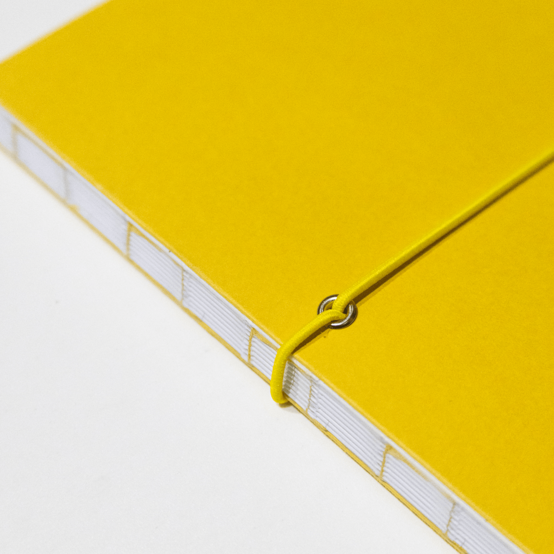 Octagon Agenda Agenda settimanale Octagon 2026/2027