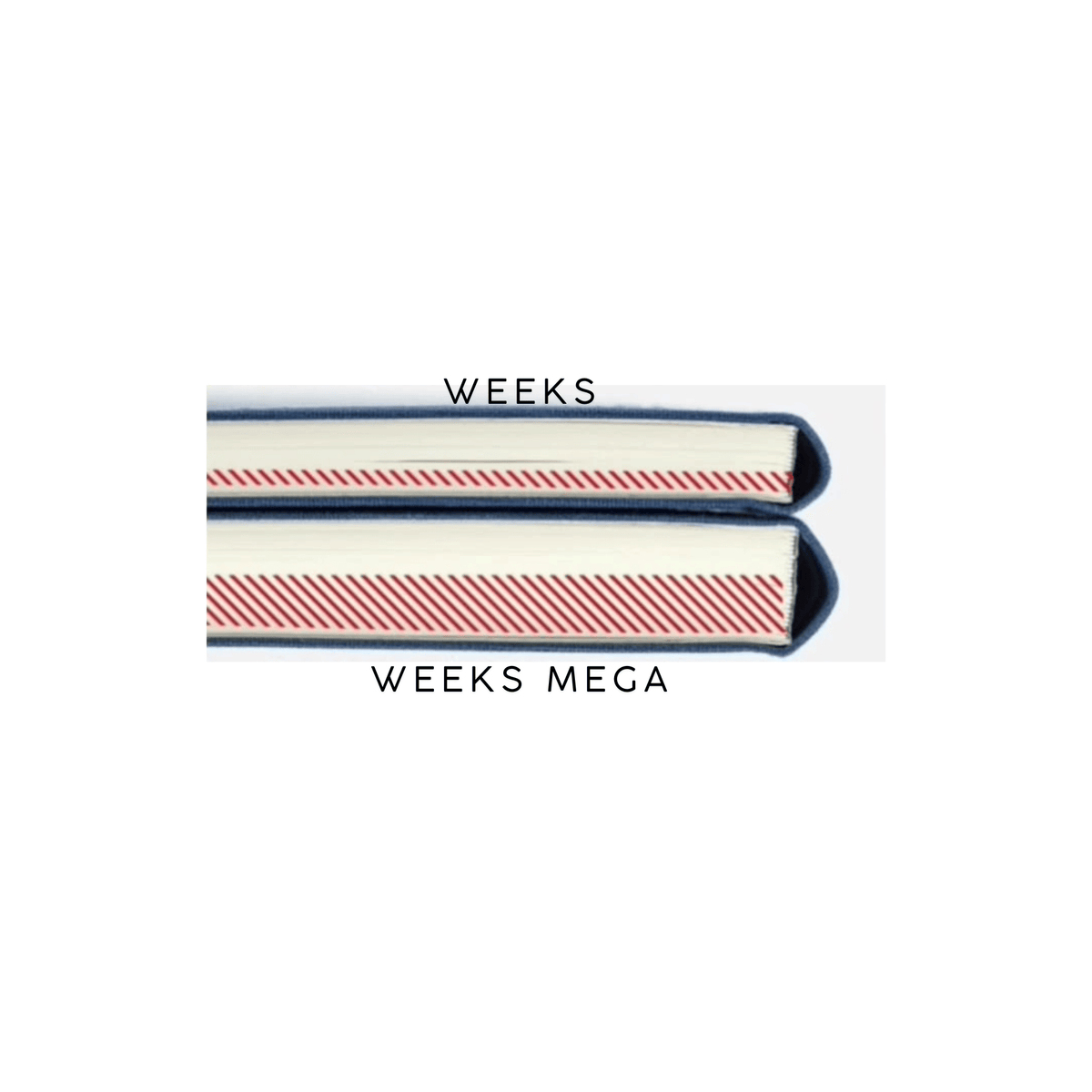 Hobonichi Agenda Hobonichi Weeks 2027 MEGA - Bow & Tie Sheep Sheep Sheep