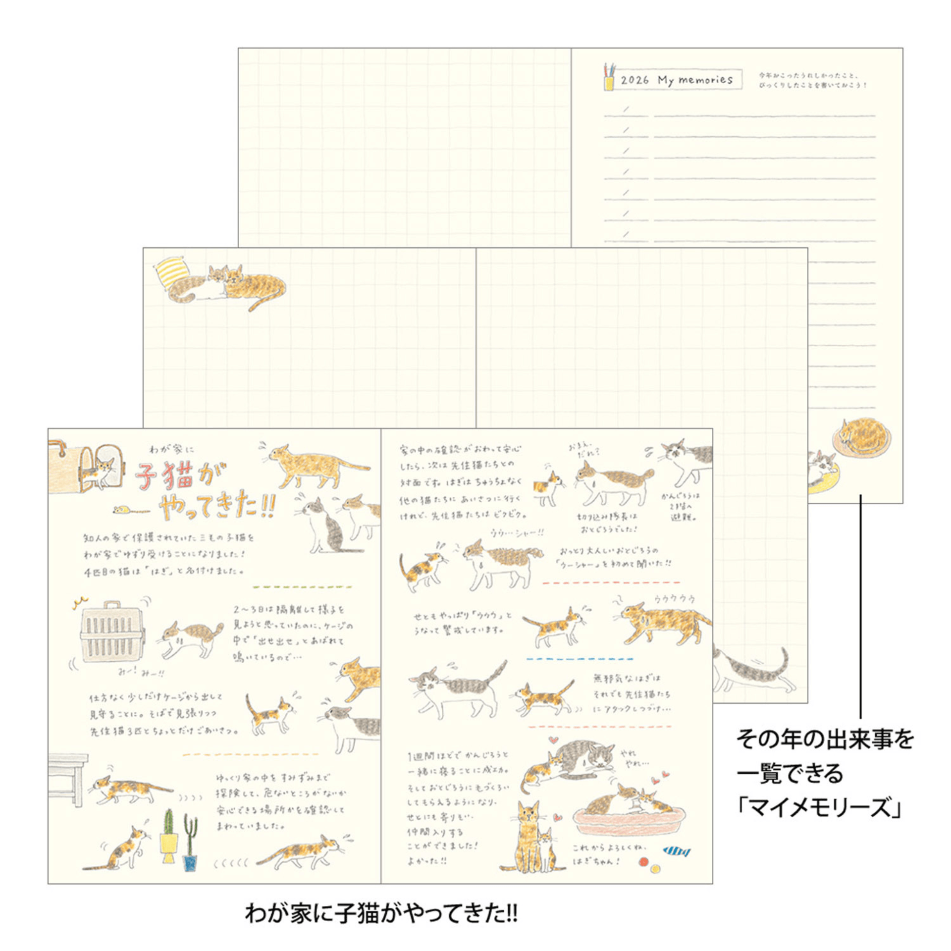 Midori Agenda Pocket Diary A6 - Cat 2026