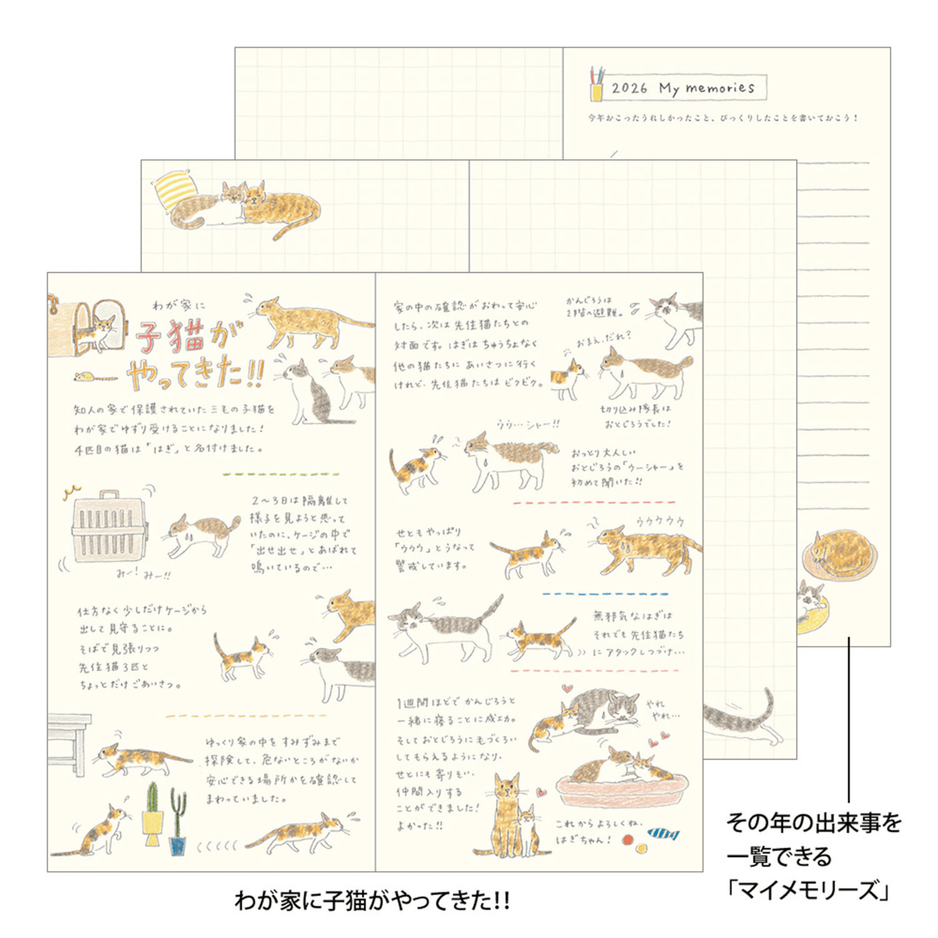 Midori Agenda Pocket Diary Slim - Cat 2026