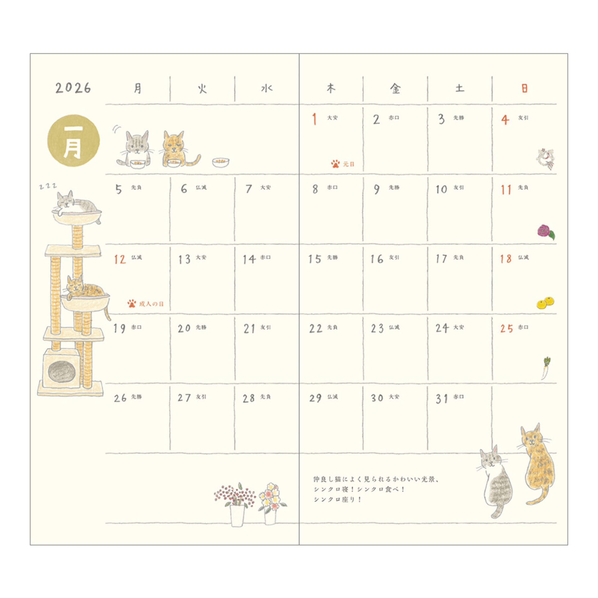 Midori Agenda Pocket Diary Slim - Cat 2026