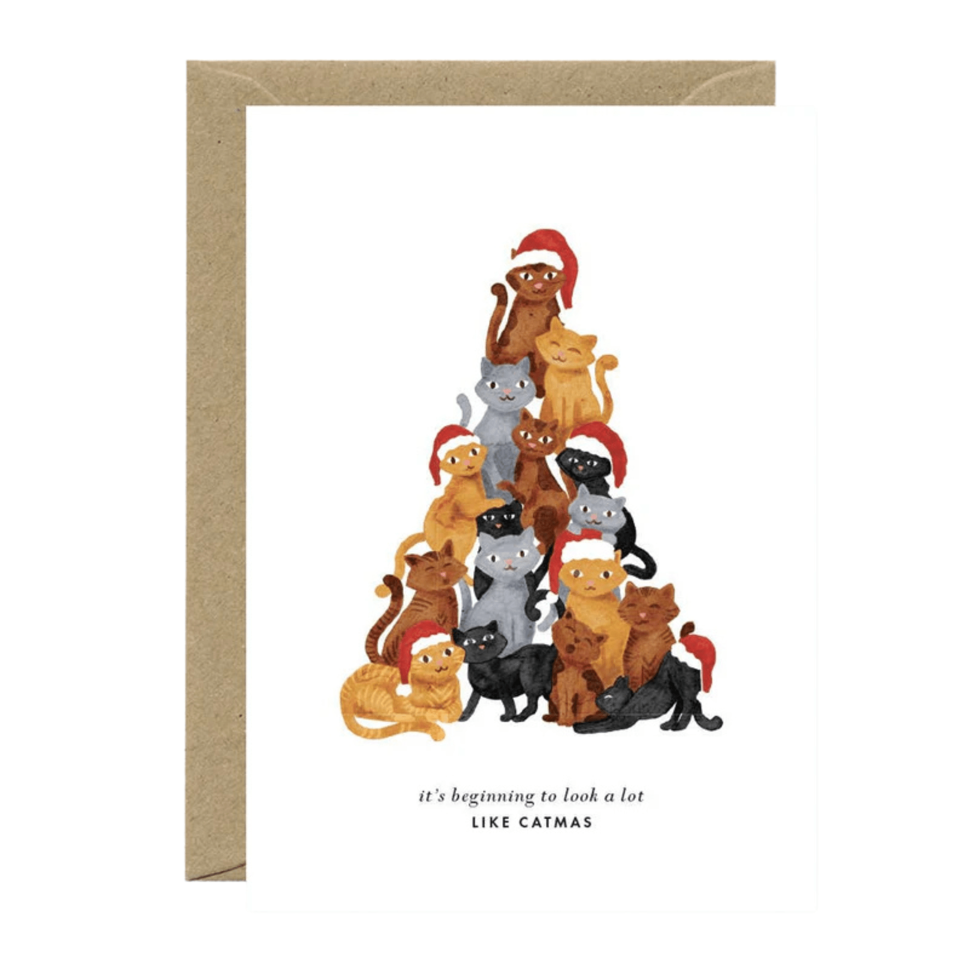 All The Way To Say Biglietto Biglietto Catmas