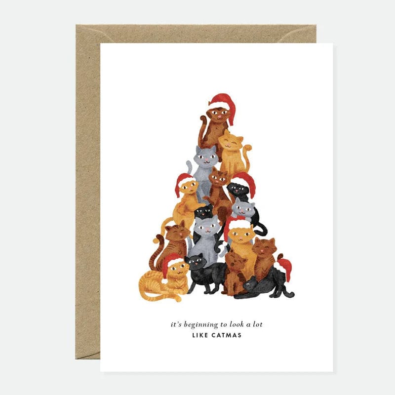 All The Way To Say Biglietto Biglietto Catmas