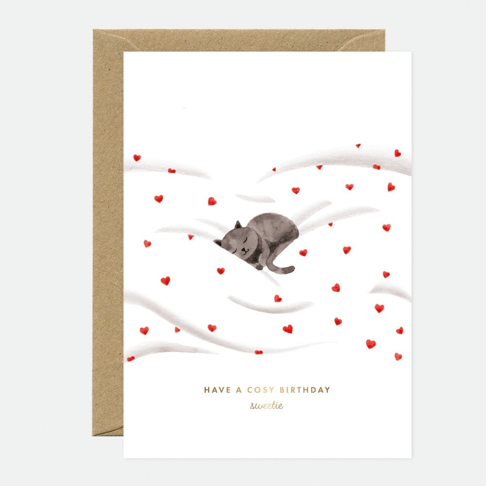 All The Way To Say Biglietto Biglietto Have a Cosy Birthday Cat