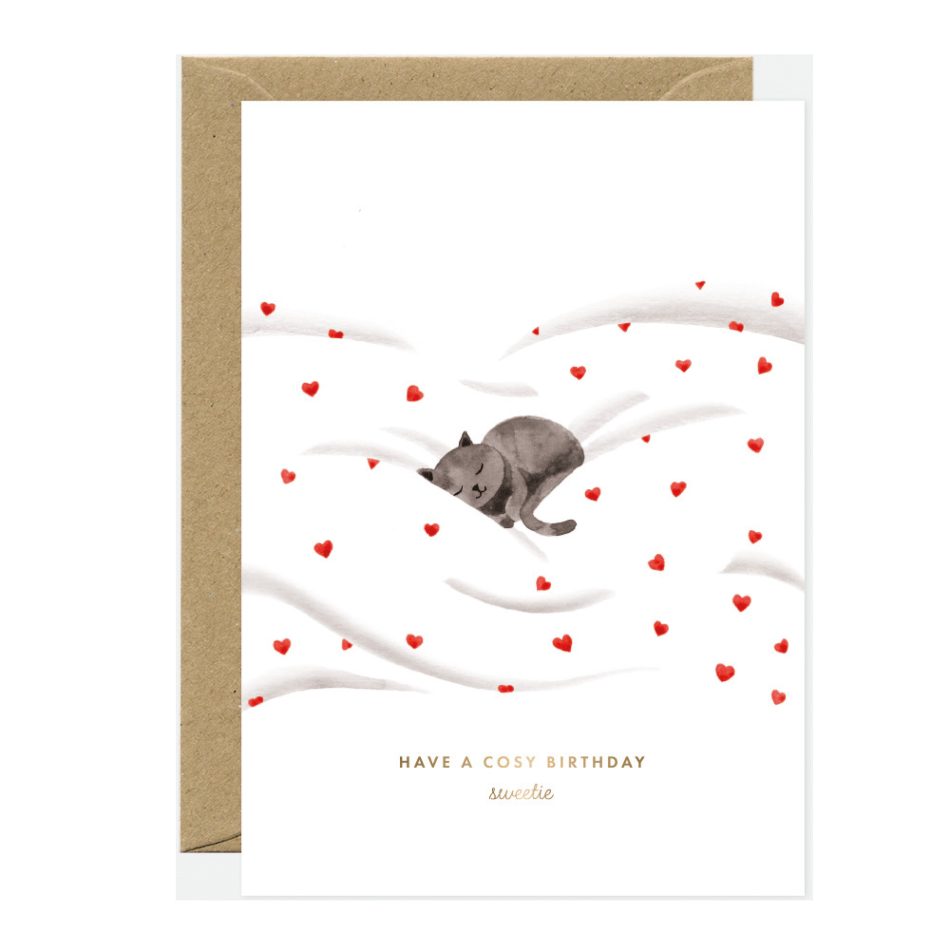 All The Way To Say Biglietto Biglietto Have a Cosy Birthday Cat