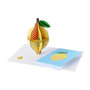 Studio Roof Biglietto Pop Out Card - Lemon