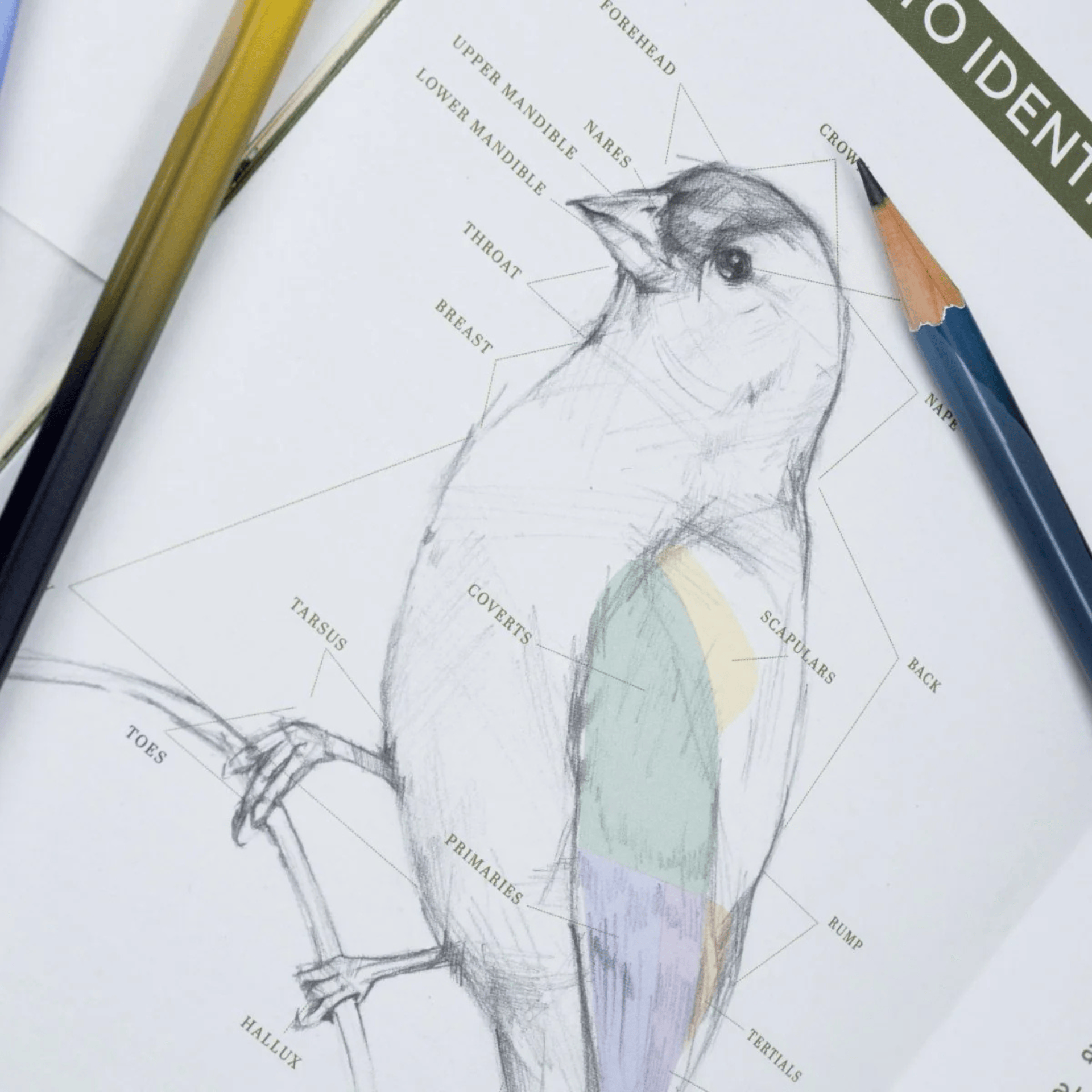 Blackwing Book Blackwing Quarterly Zine Issue 002 (Vol. 458)
