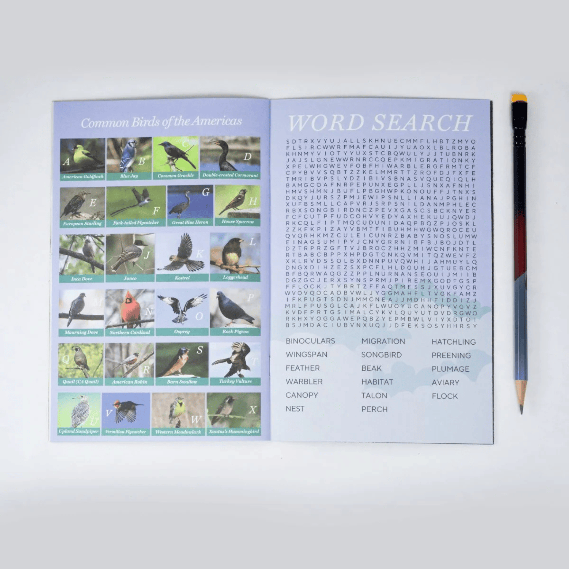 Blackwing Book Blackwing Quarterly Zine Issue 002 (Vol. 458)