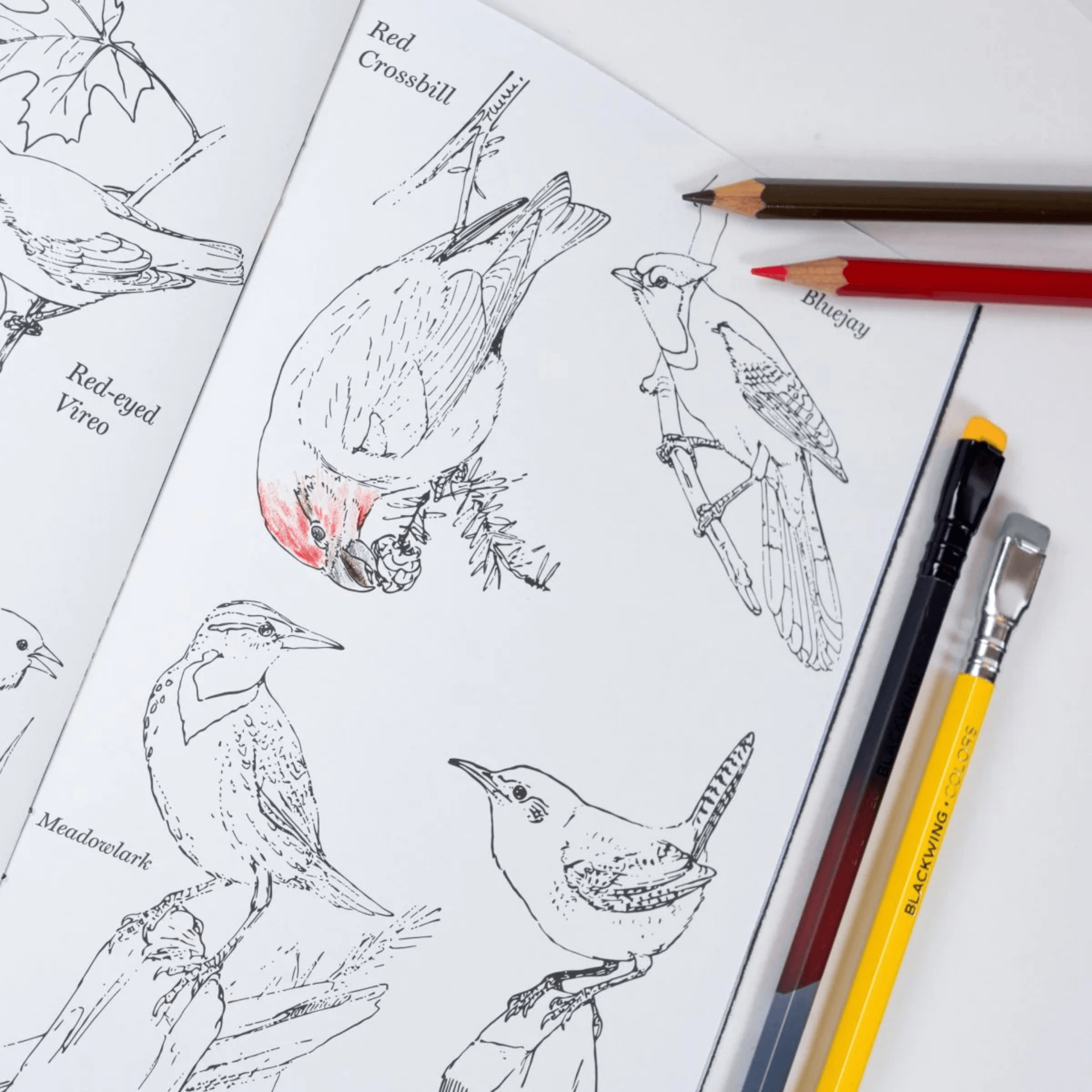 Blackwing Book Blackwing Quarterly Zine Issue 002 (Vol. 458)
