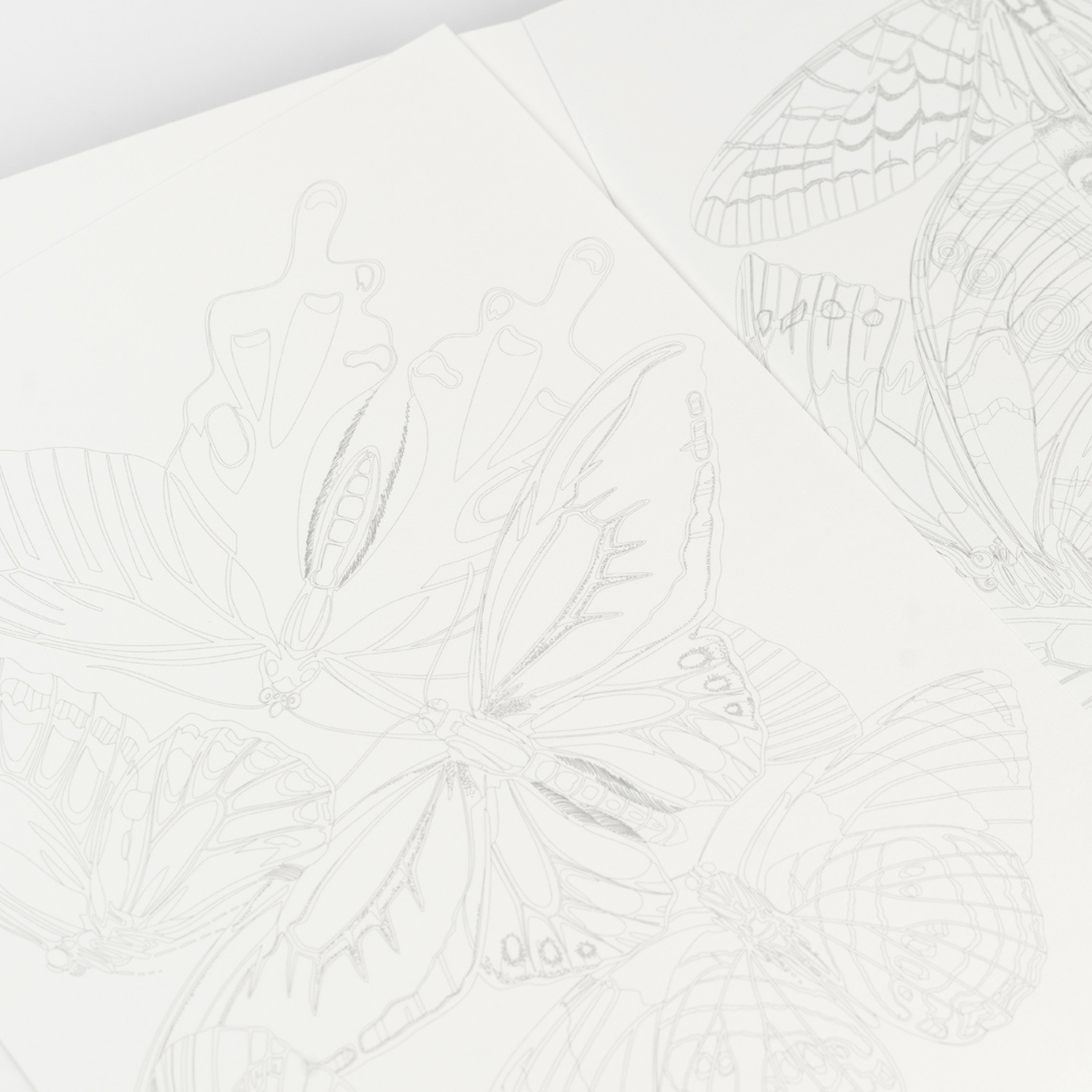 Pepin Press Book Colouring Book - Butterflies