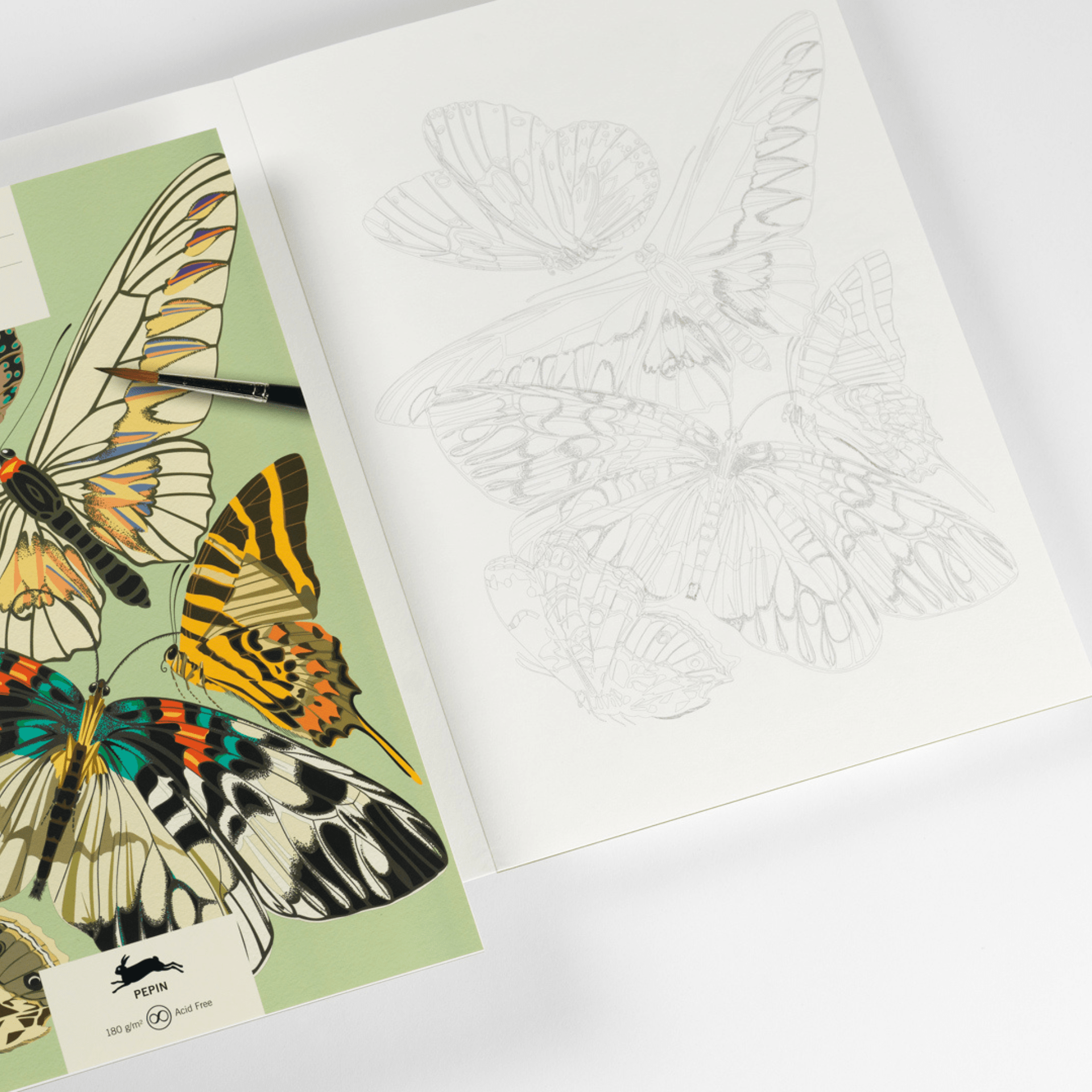 Pepin Press Book Colouring Book - Butterflies