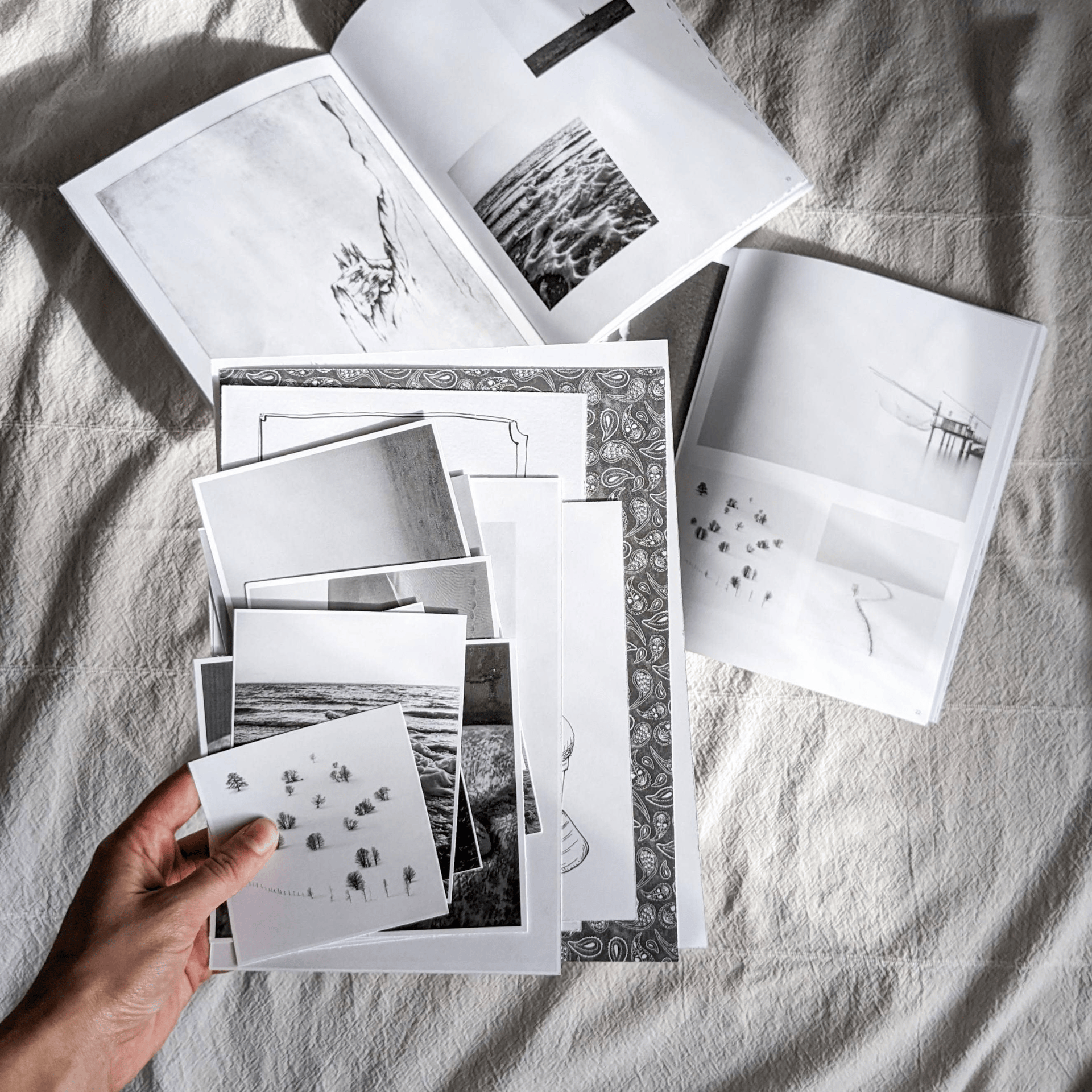Cut & Paste Book Cut + Paste BLACK & WHITE — Issue 06