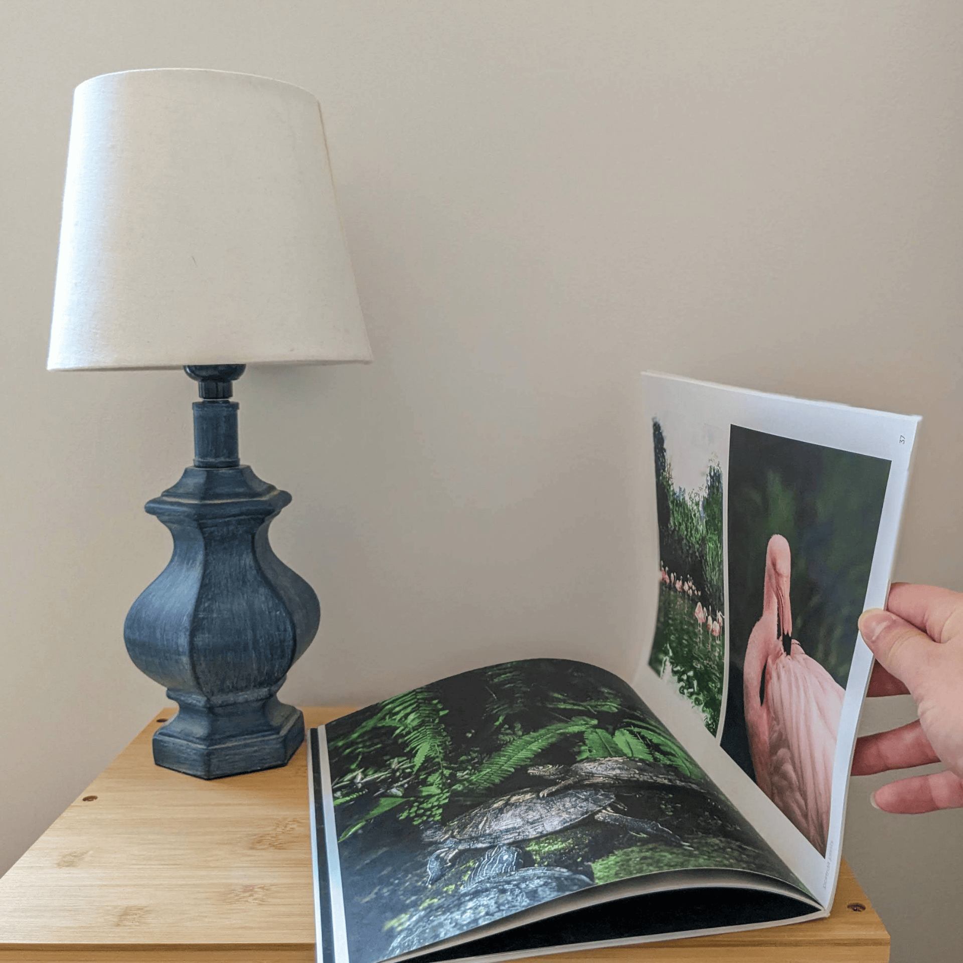 Cut & Paste Book Cut + Paste LAGOON — Issue 12