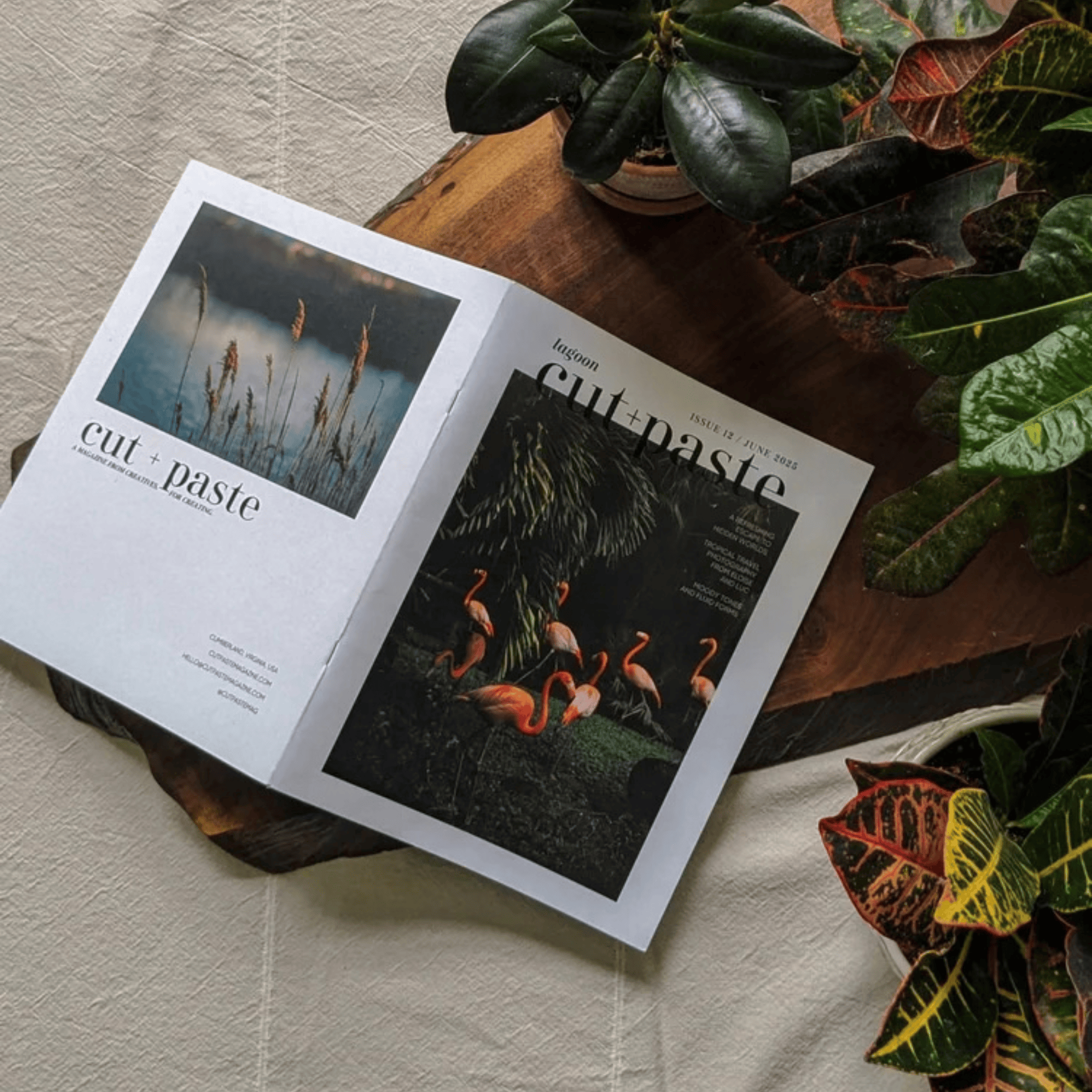 Cut & Paste Book Cut + Paste LAGOON — Issue 12