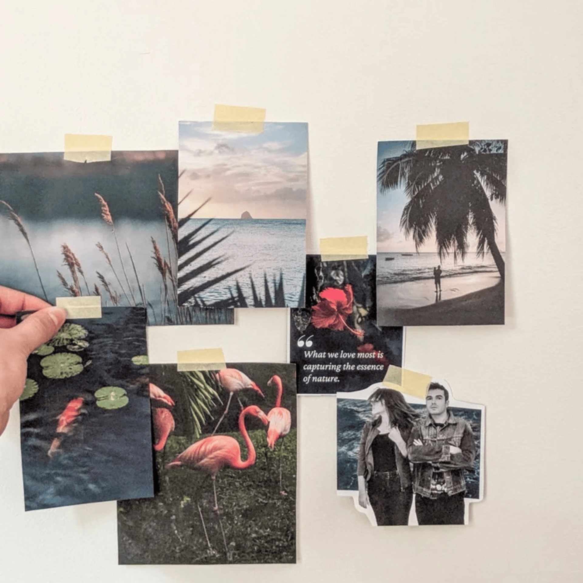Cut & Paste Book Cut + Paste LAGOON — Issue 12