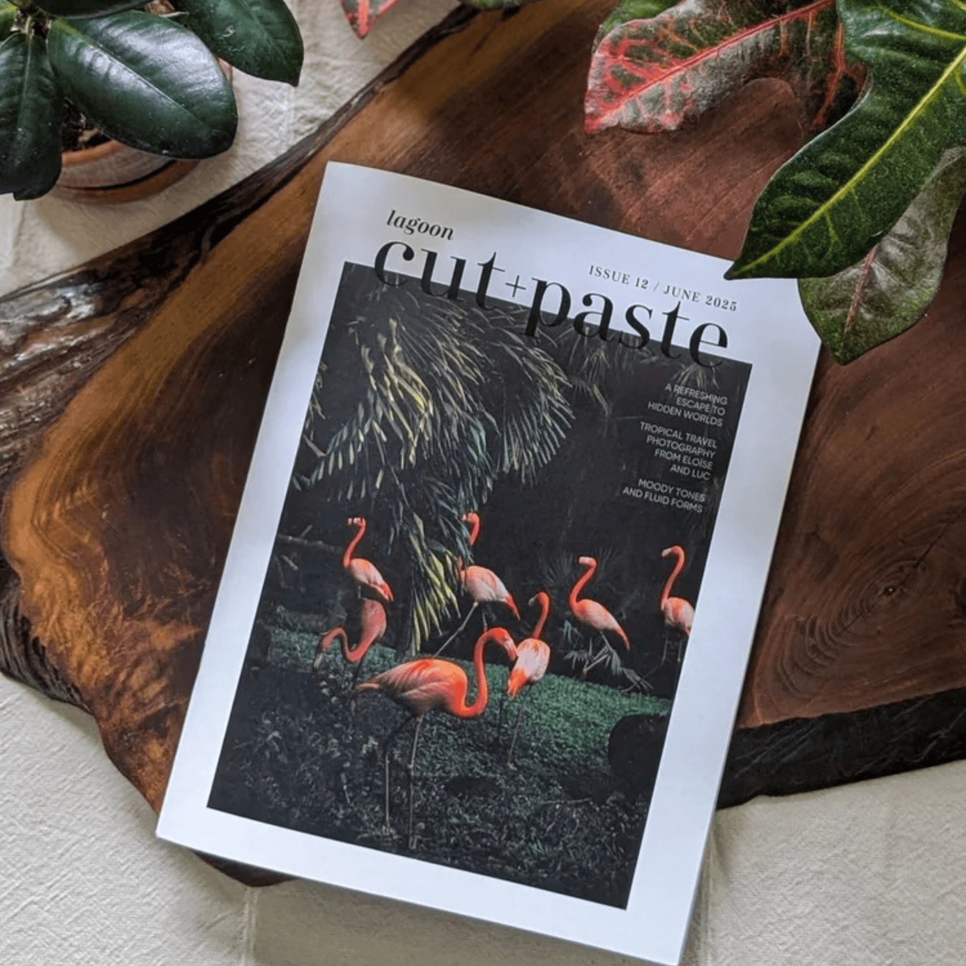 Cut & Paste Book Cut + Paste LAGOON — Issue 12