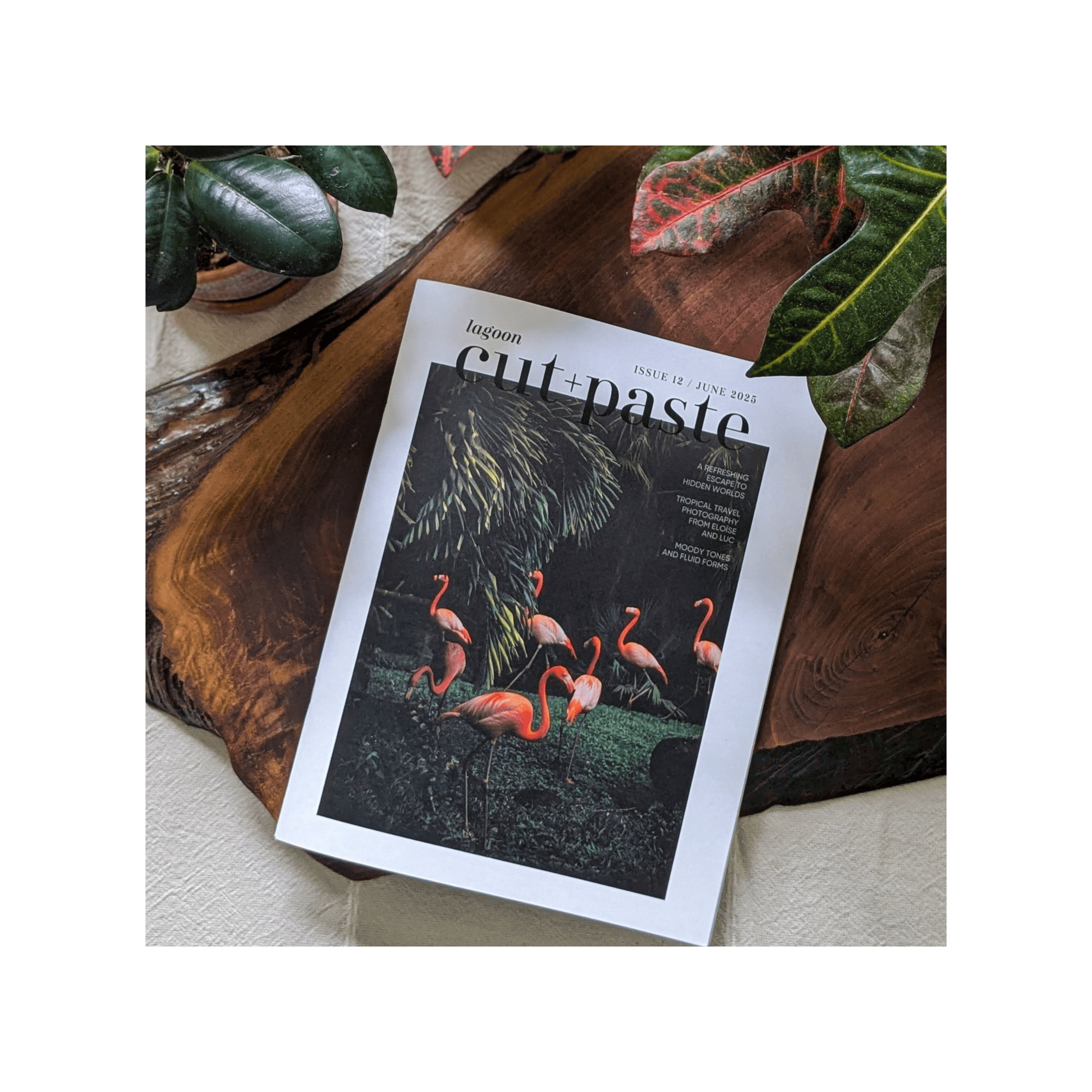 Cut & Paste Book Cut + Paste LAGOON — Issue 12