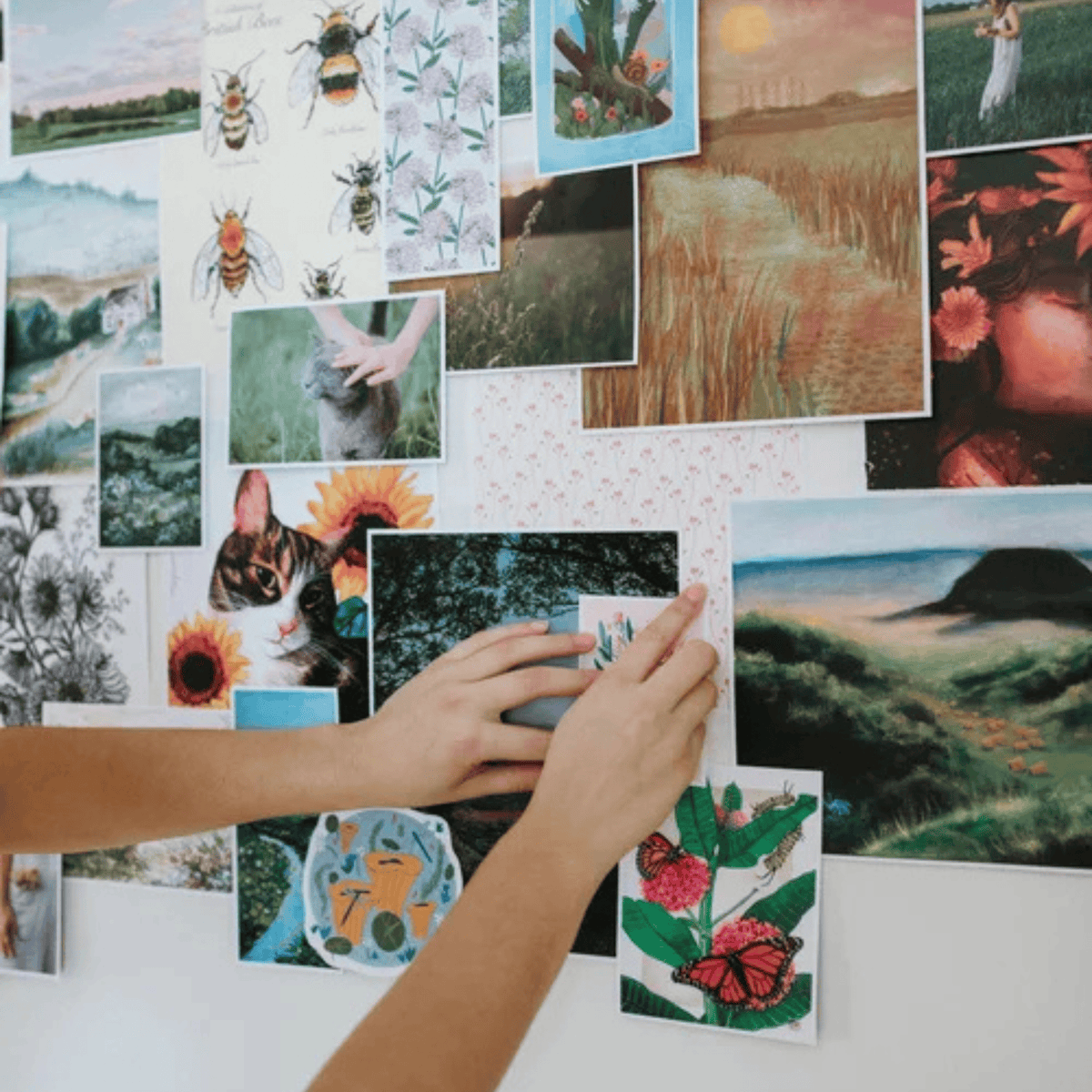 Cut & Paste Book Cut + Paste MEADOW — Issue 01