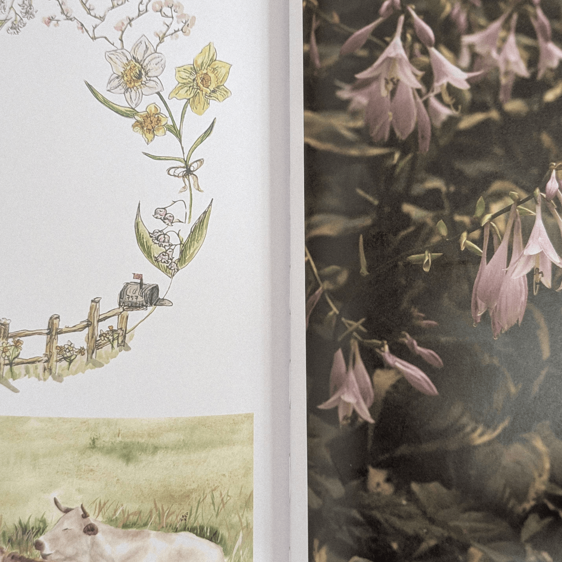 Cut & Paste Book Cut + Paste NURTURE — Issue 15