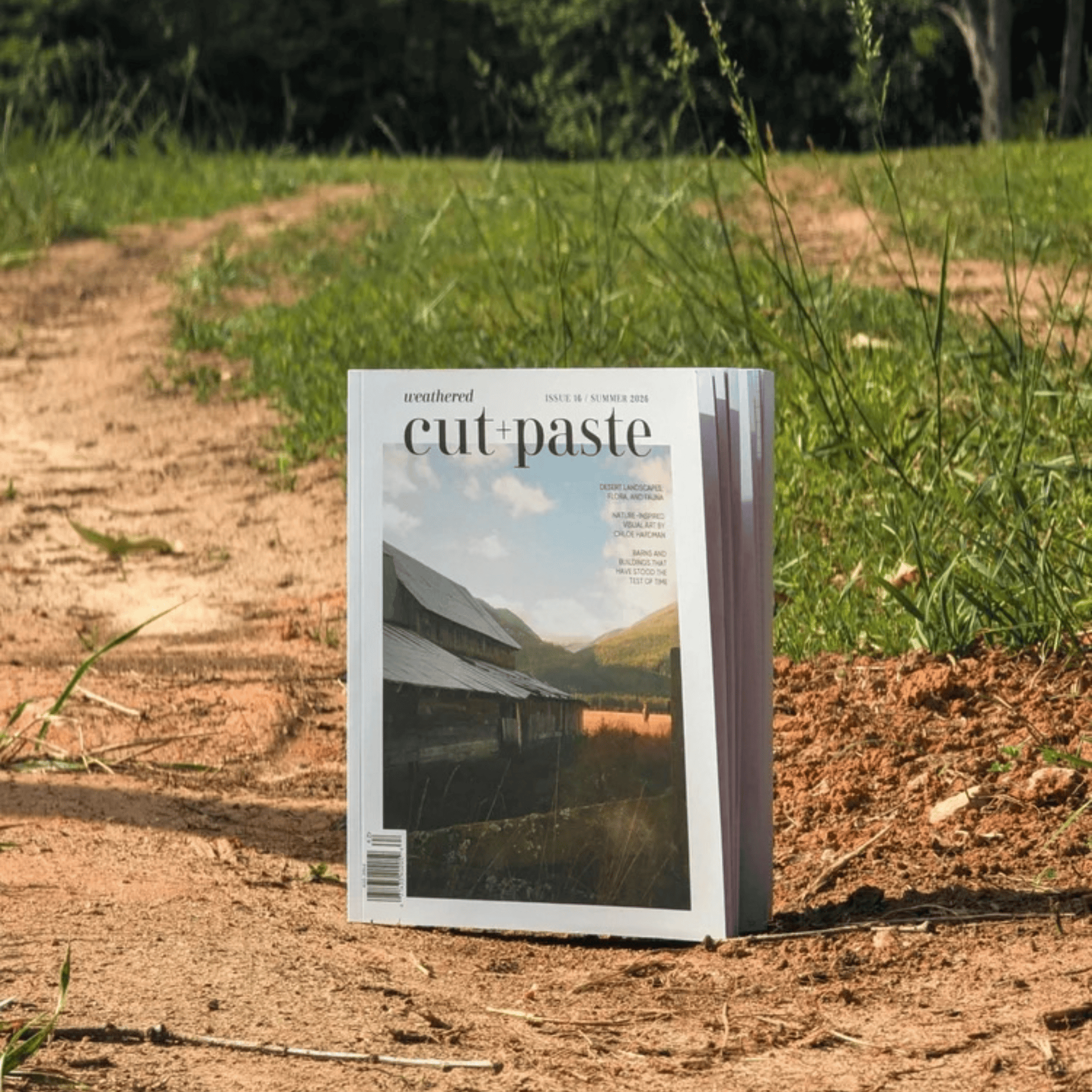 Cut & Paste Book Cut + Paste WEATHERED — Issue 16
