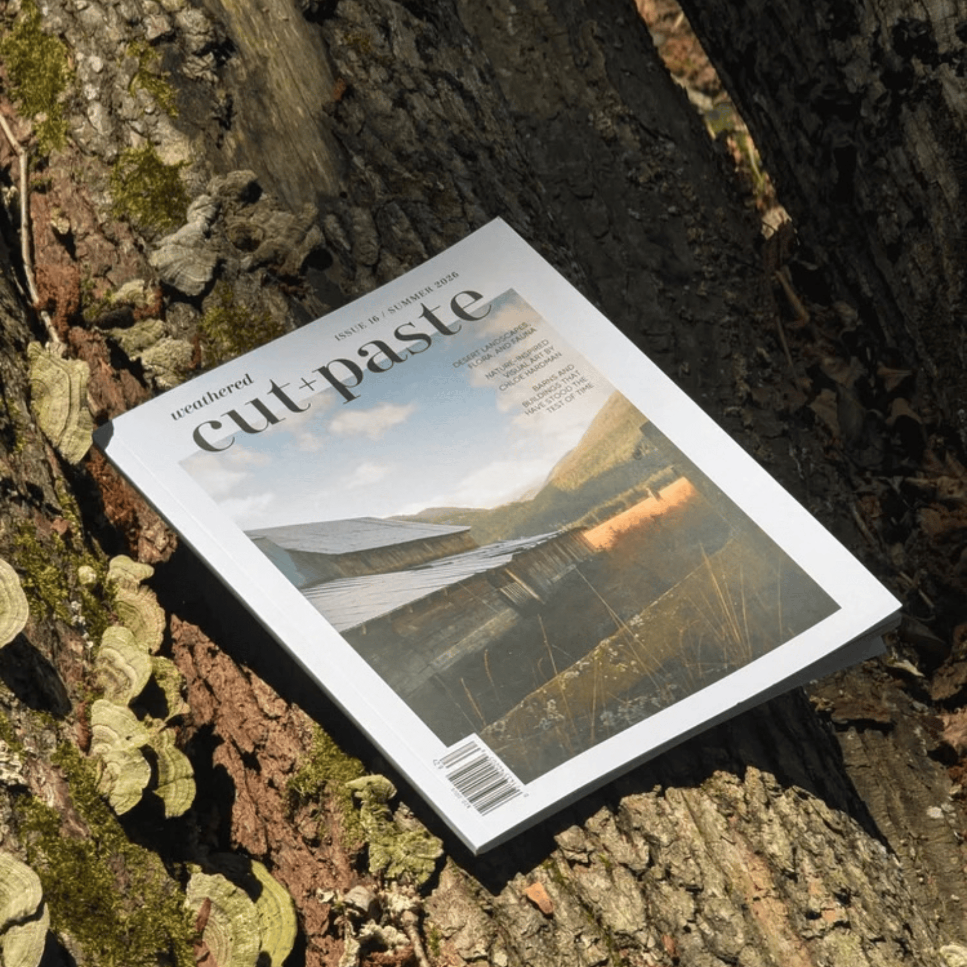 Cut & Paste Book Cut + Paste WEATHERED — Issue 16
