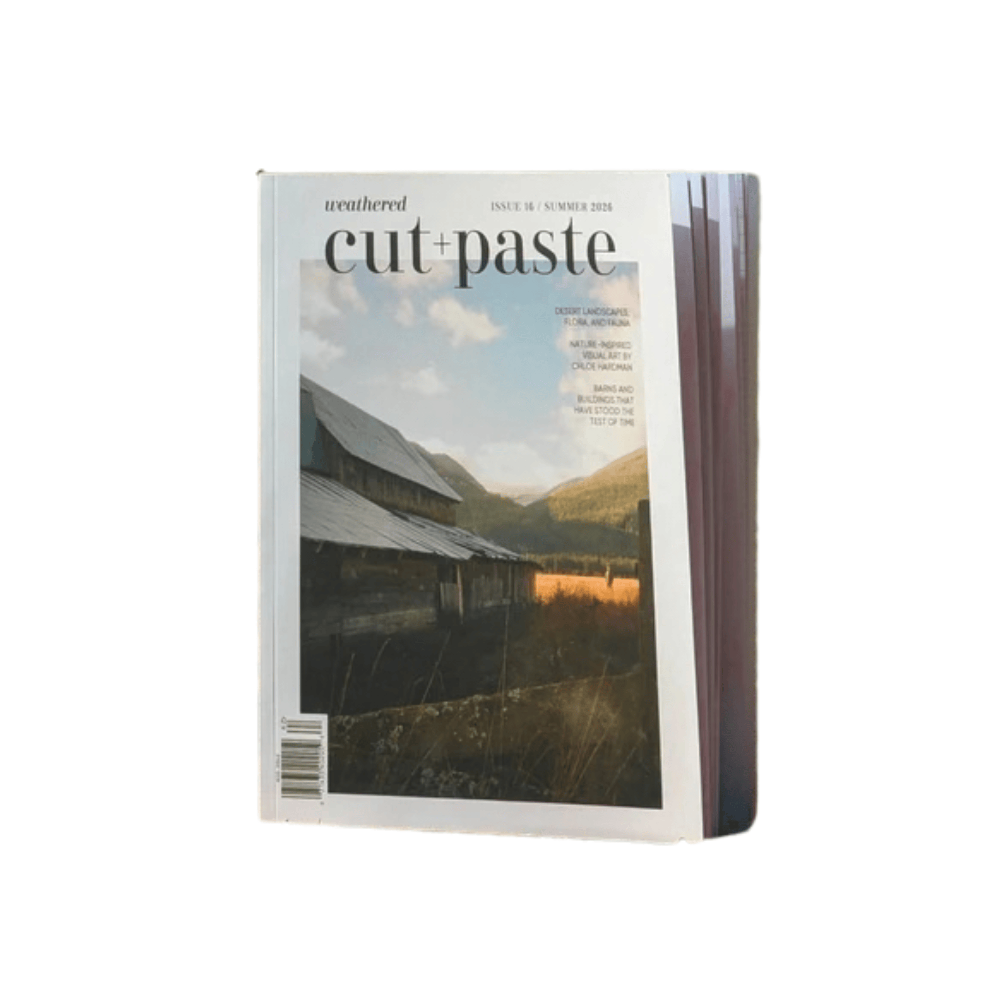 Cut & Paste Book Cut + Paste WEATHERED — Issue 16