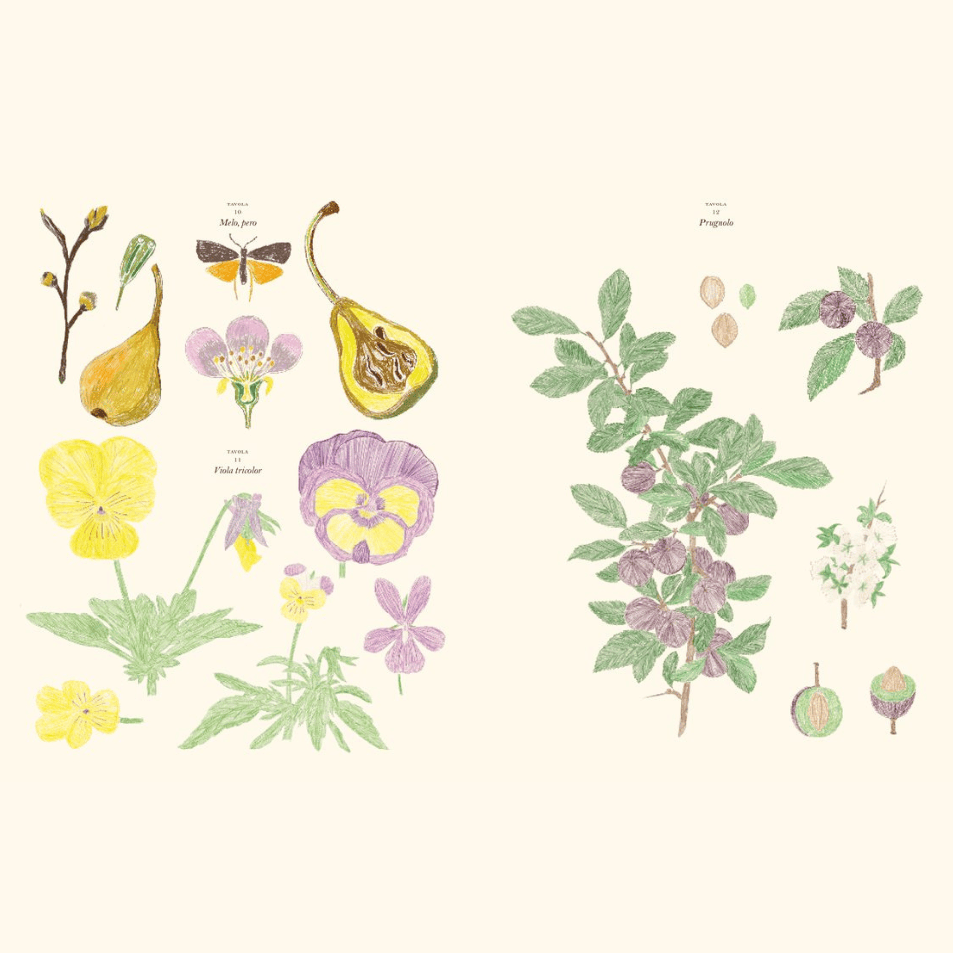 L'Ippocampo Book Il Giardino - Sticker & Coloring Book
