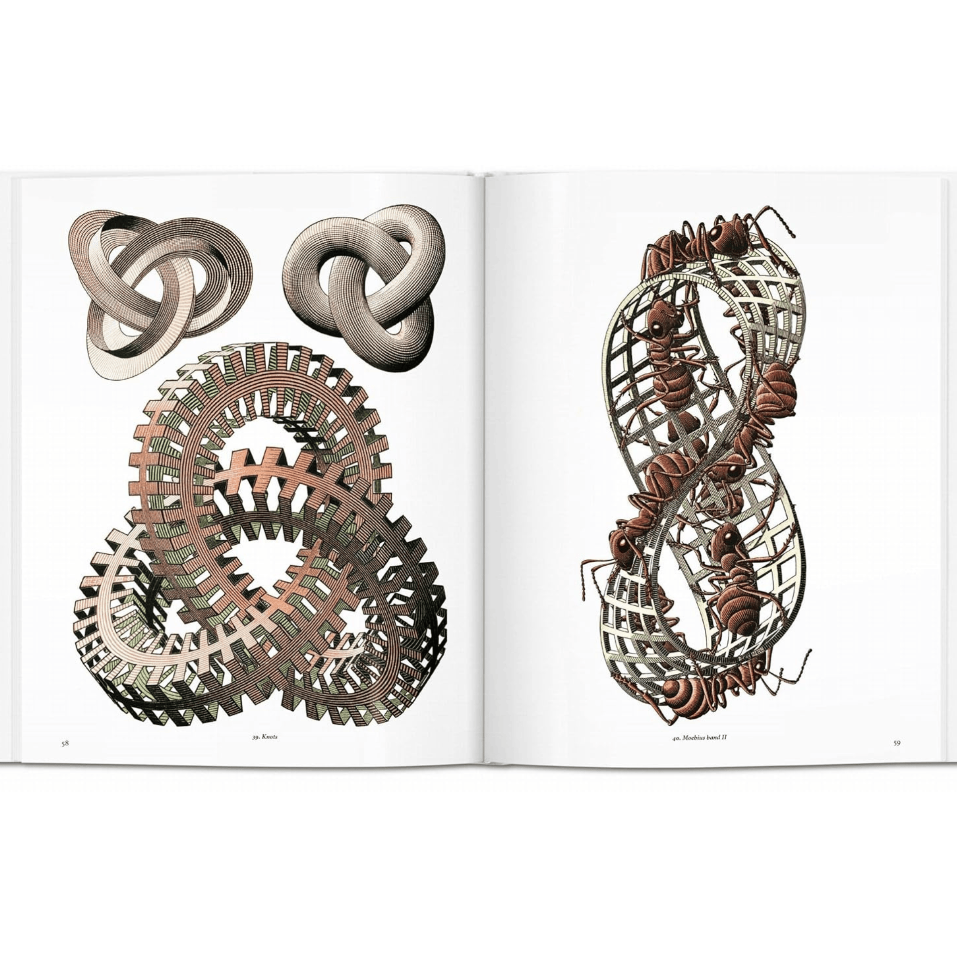 Taschen Book M. C. Escher