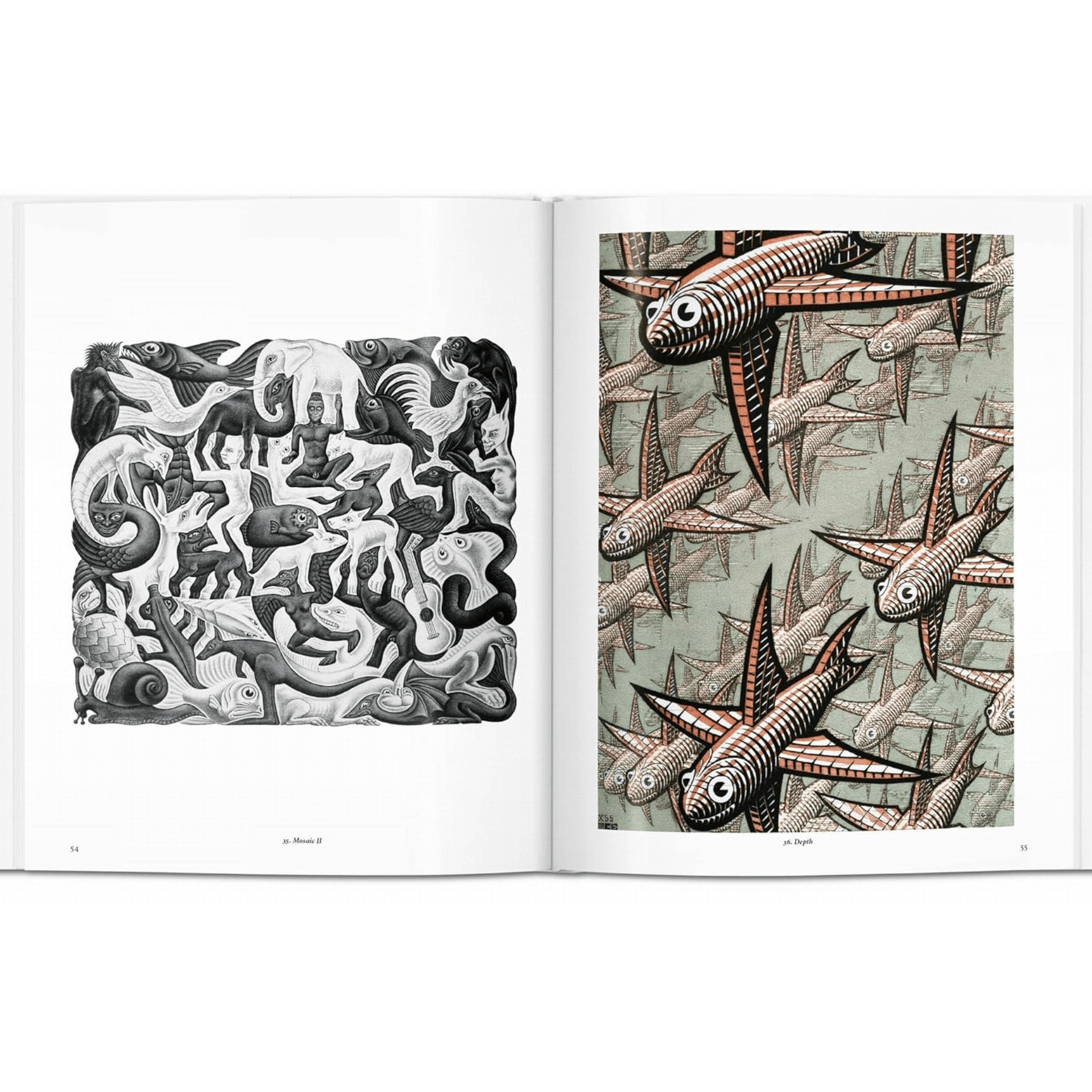 Taschen Book M. C. Escher