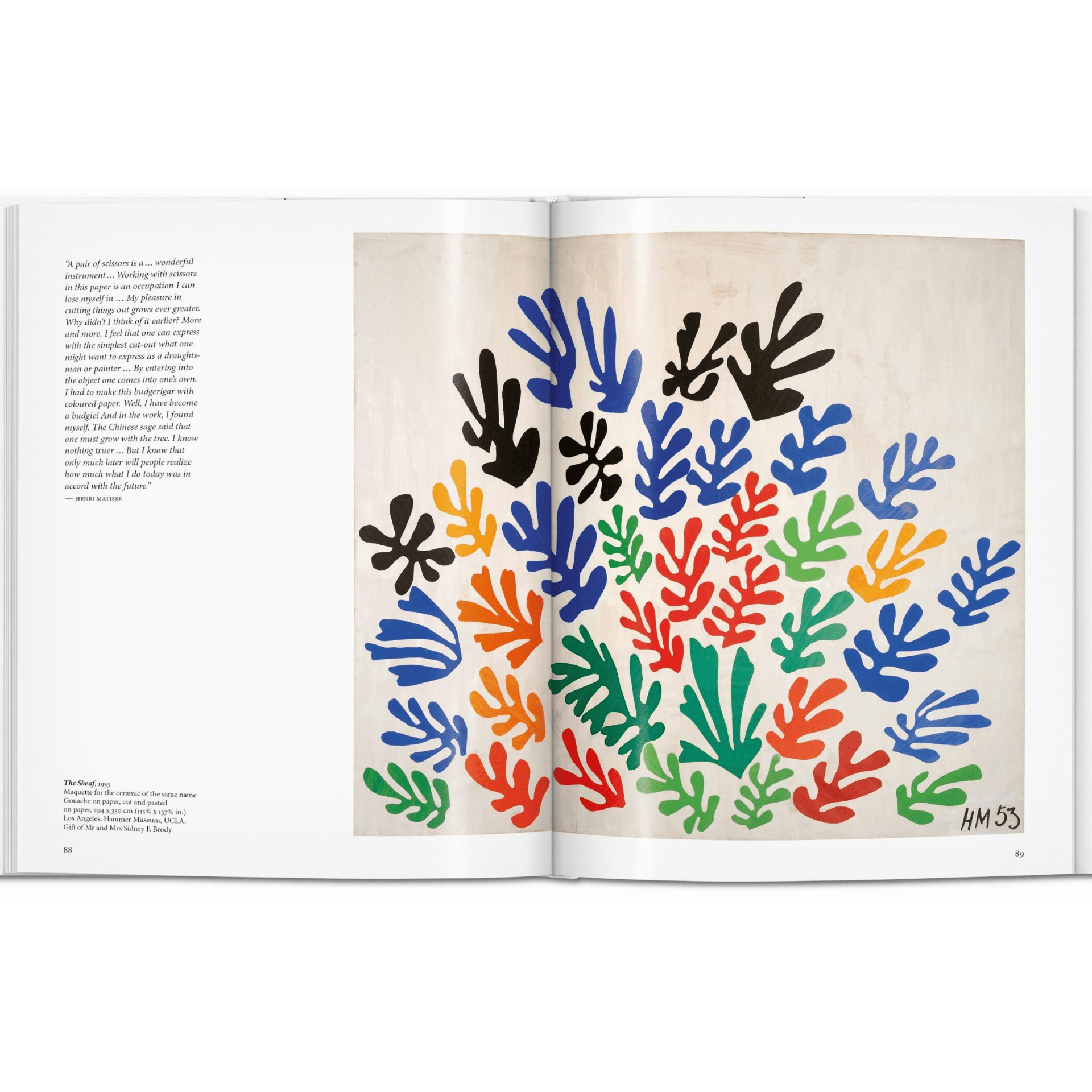 Taschen Book Matisse