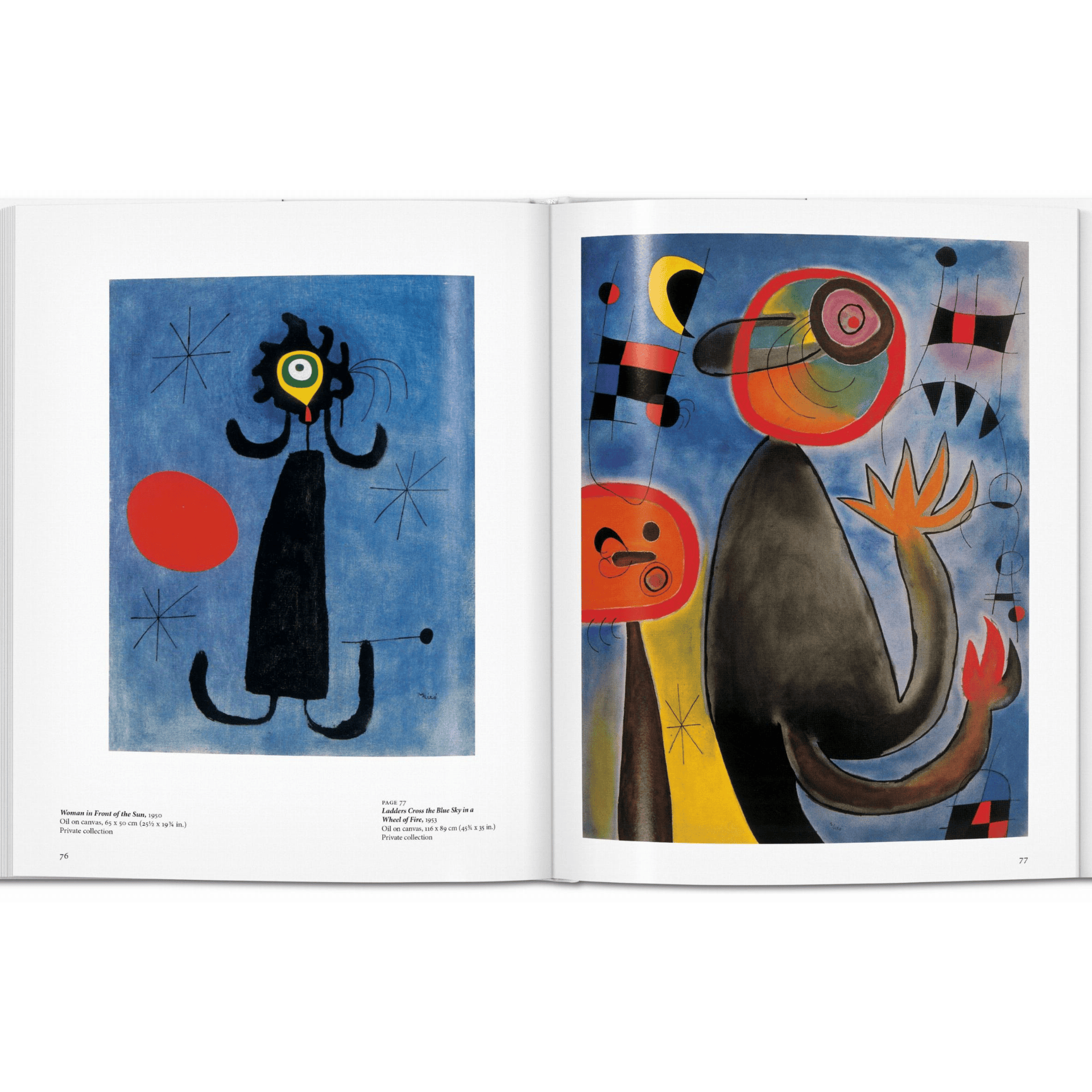 Taschen Book Miró