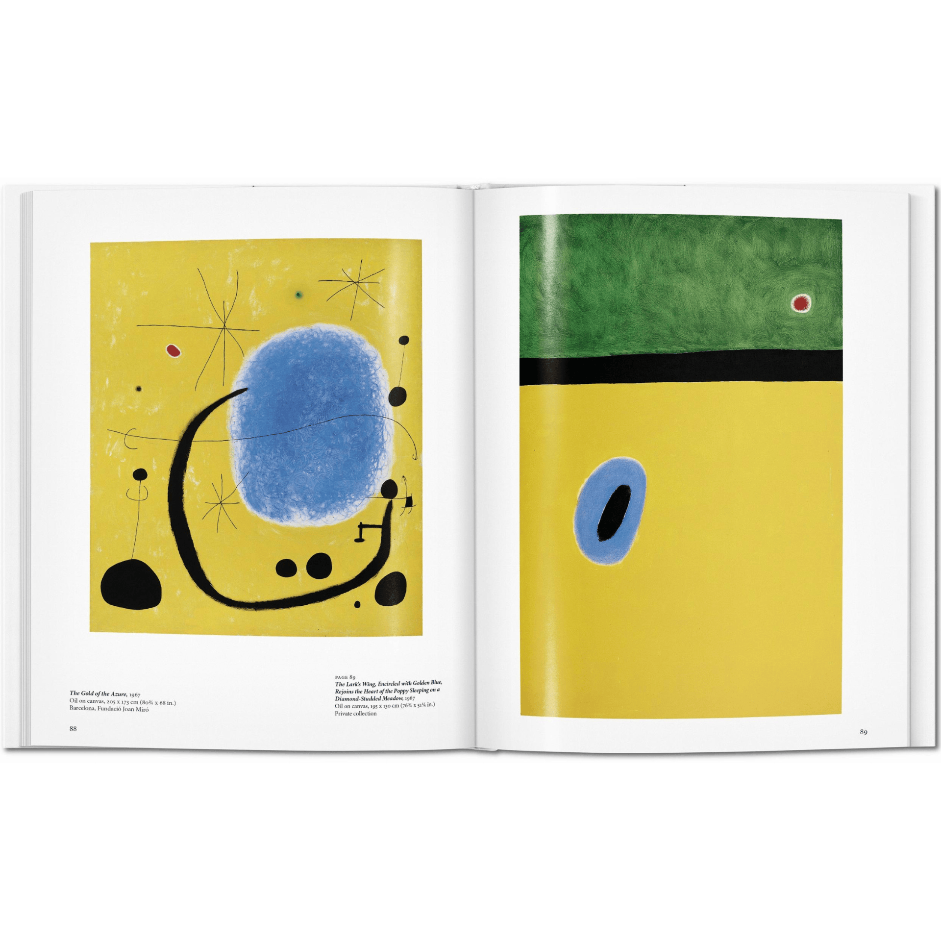 Taschen Book Miró