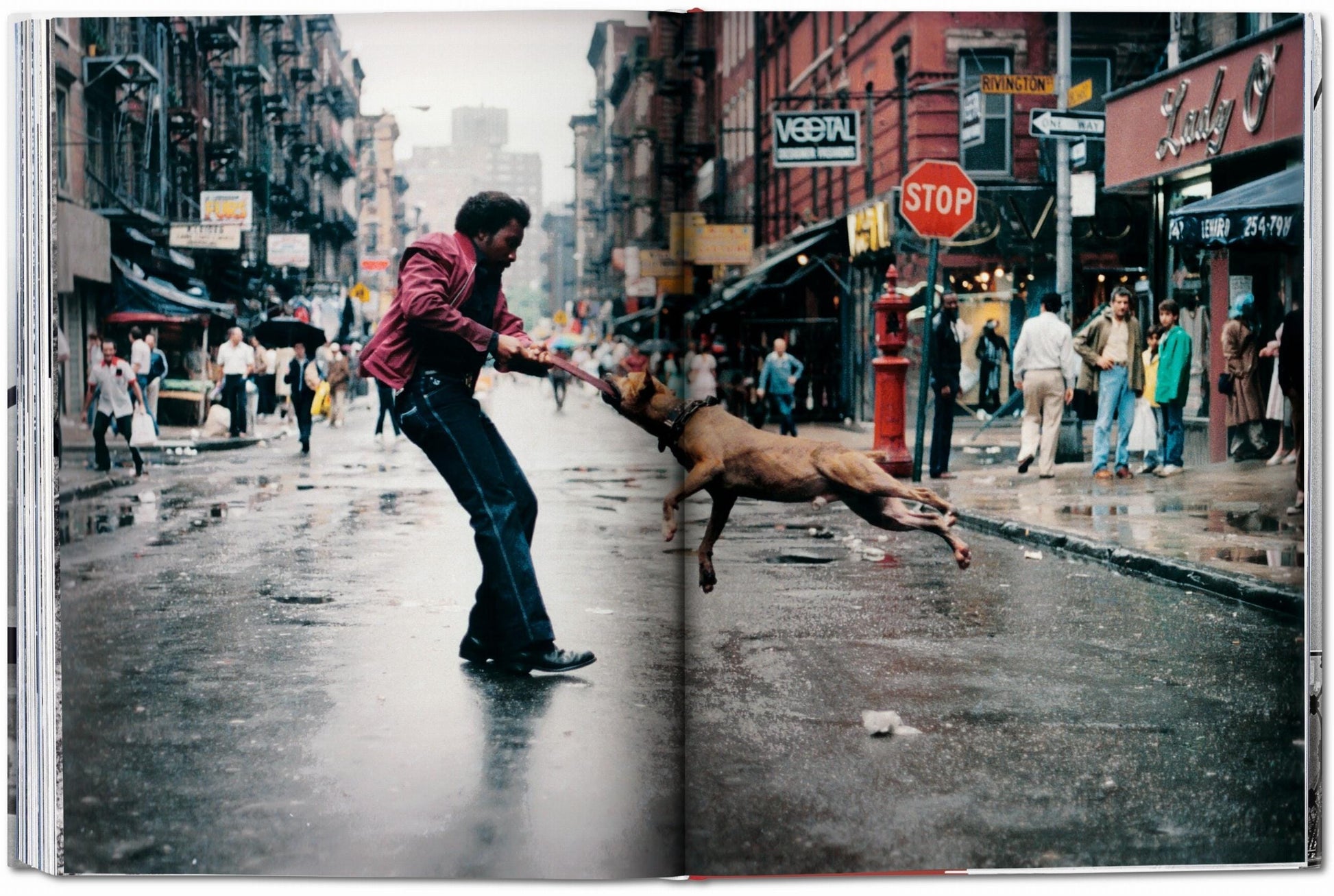Taschen Book New York. Portrait of a City XL