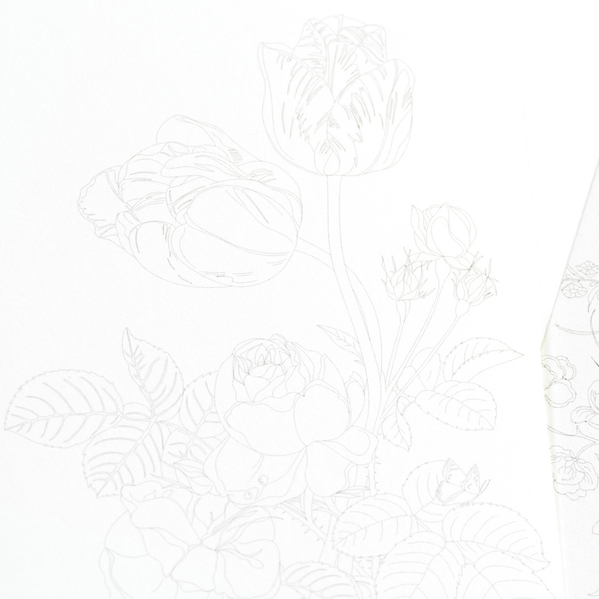 Pepin Press Book Watercolor Postcard Book Floral Images