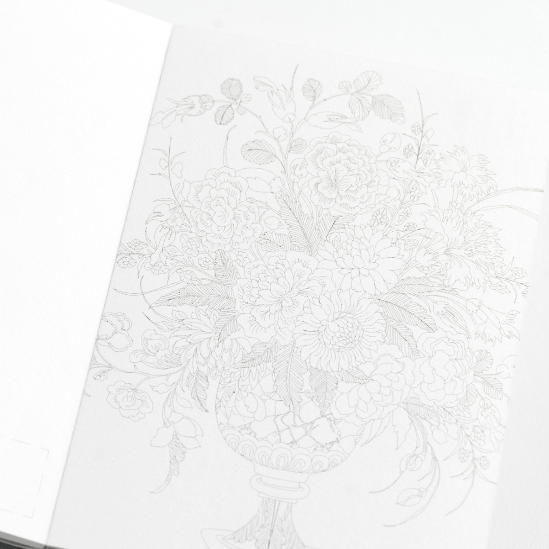 Pepin Press Book Watercolor Postcard Book Floral Images