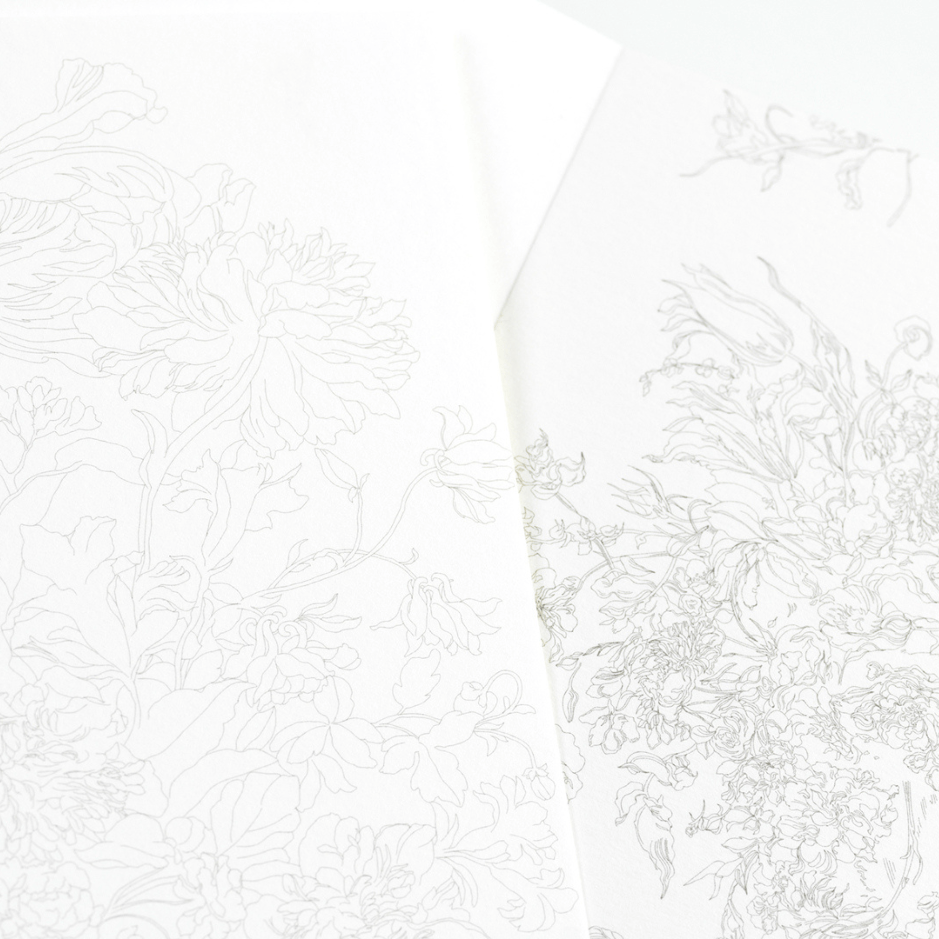 Pepin Press Book Watercolor Postcard Book Floral Images