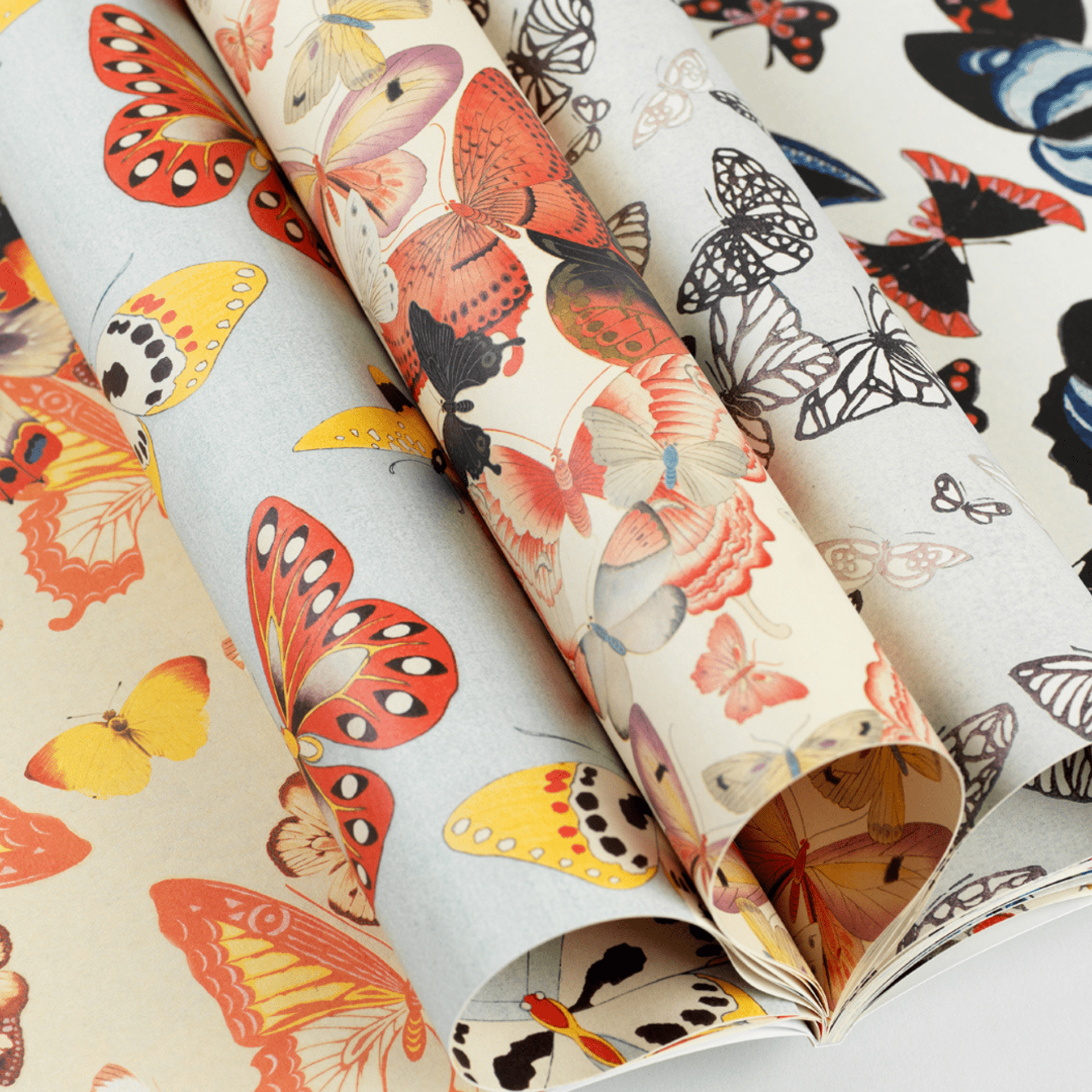 Pepin Press Carta regalo Carta regalo - Japanese Butterflies