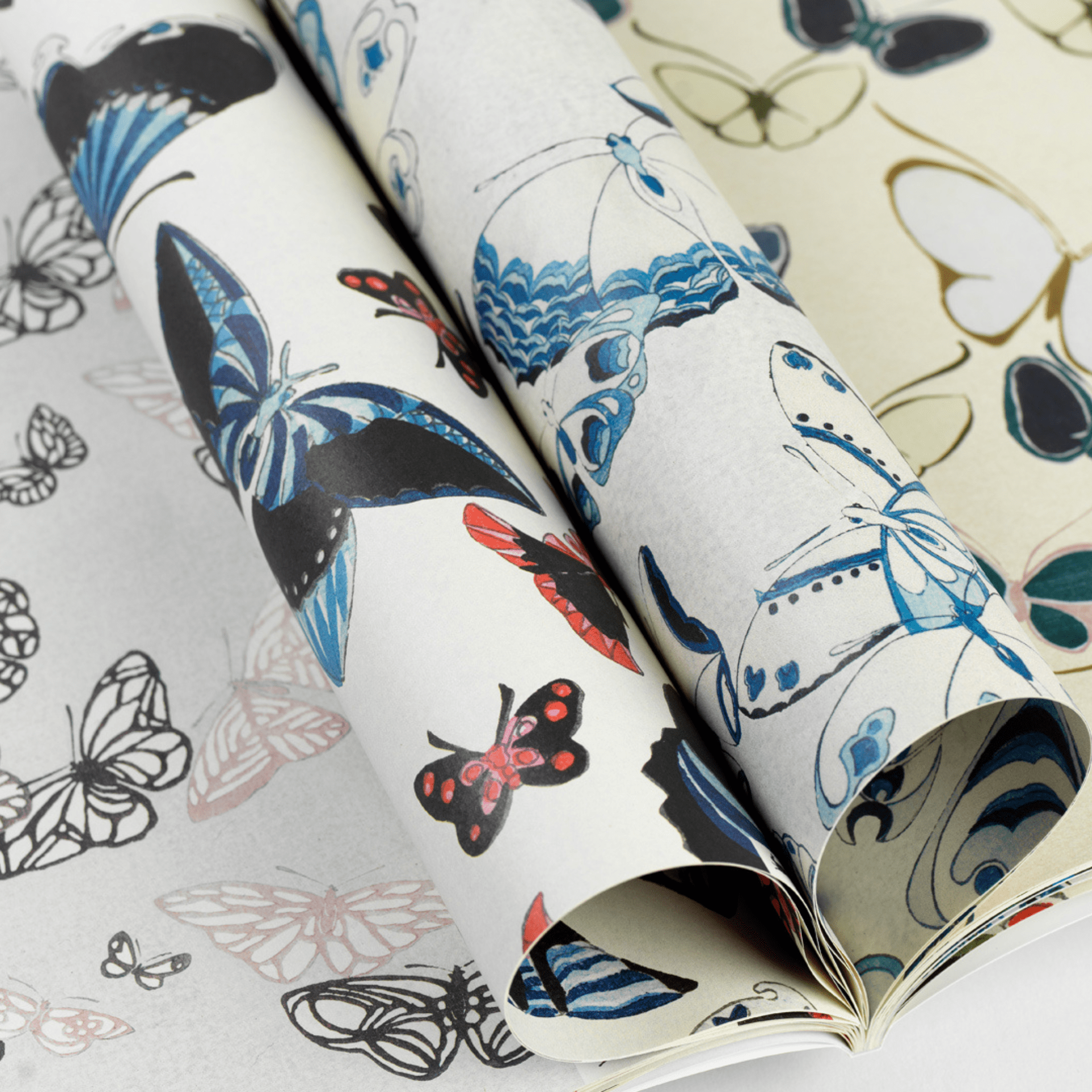 Pepin Press Carta regalo Carta regalo - Japanese Butterflies