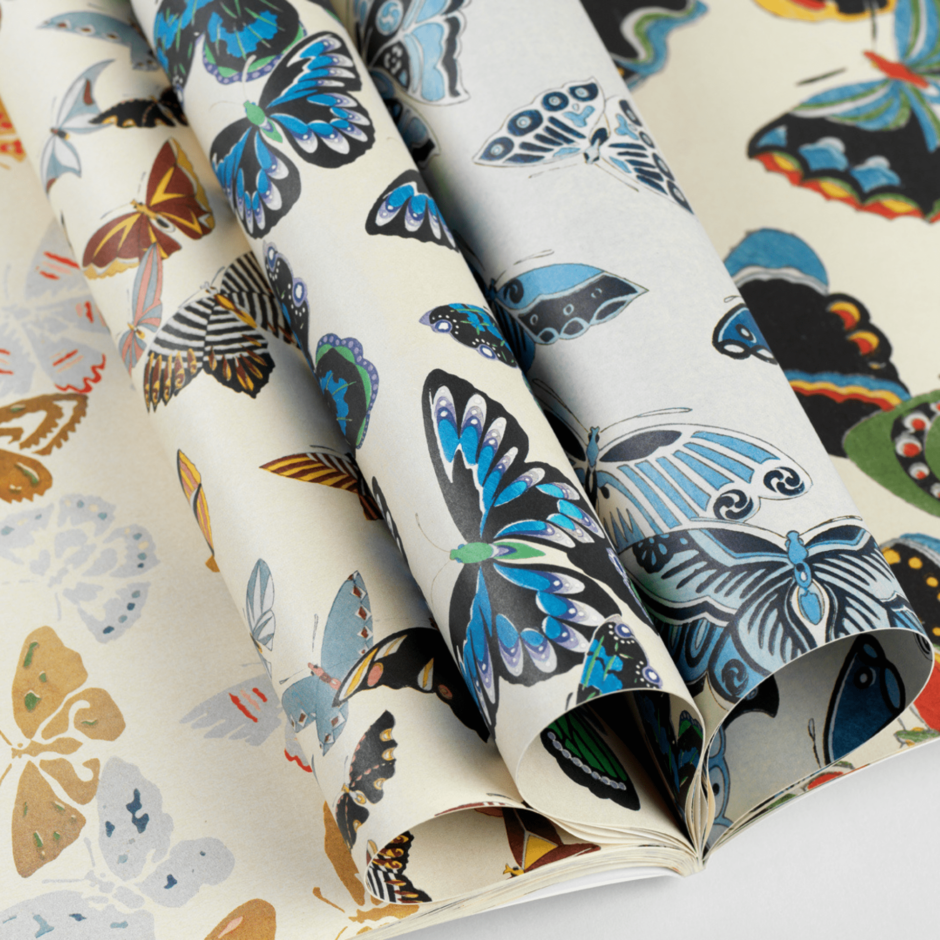 Pepin Press Carta regalo Carta regalo - Japanese Butterflies