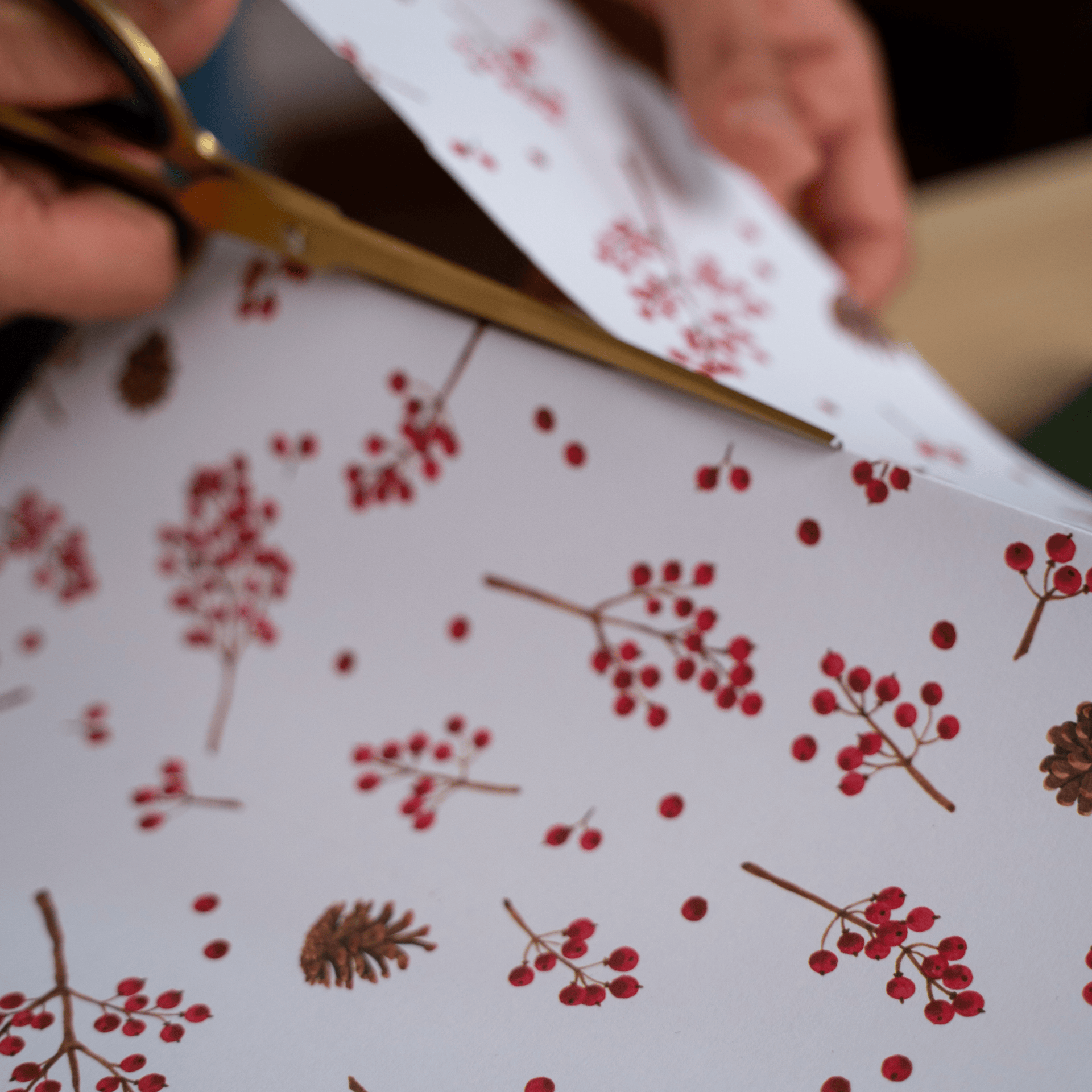 All The Way To Say Carta regalo Foglio di carta regalo Berries