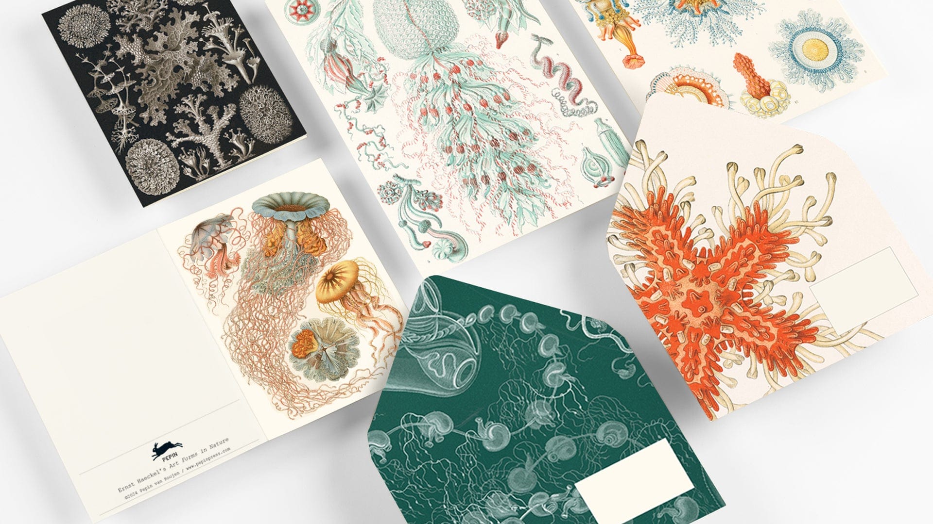 Pepin Press Carte da lettere Correspondence Set - Art Forms in Nature