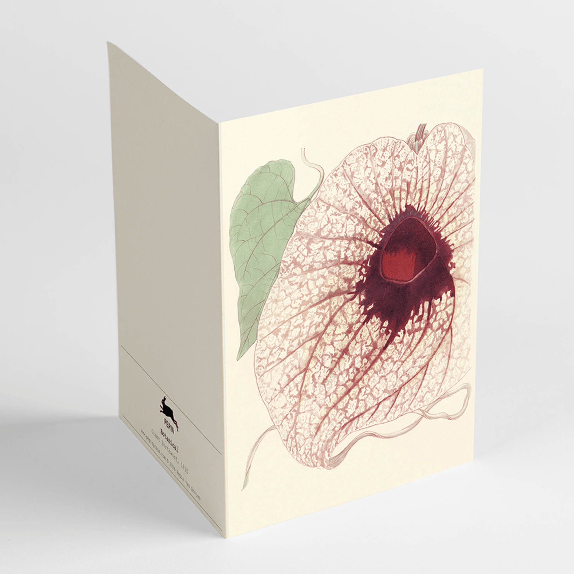 Pepin Press Carte da lettere Correspondence Set - Botanical