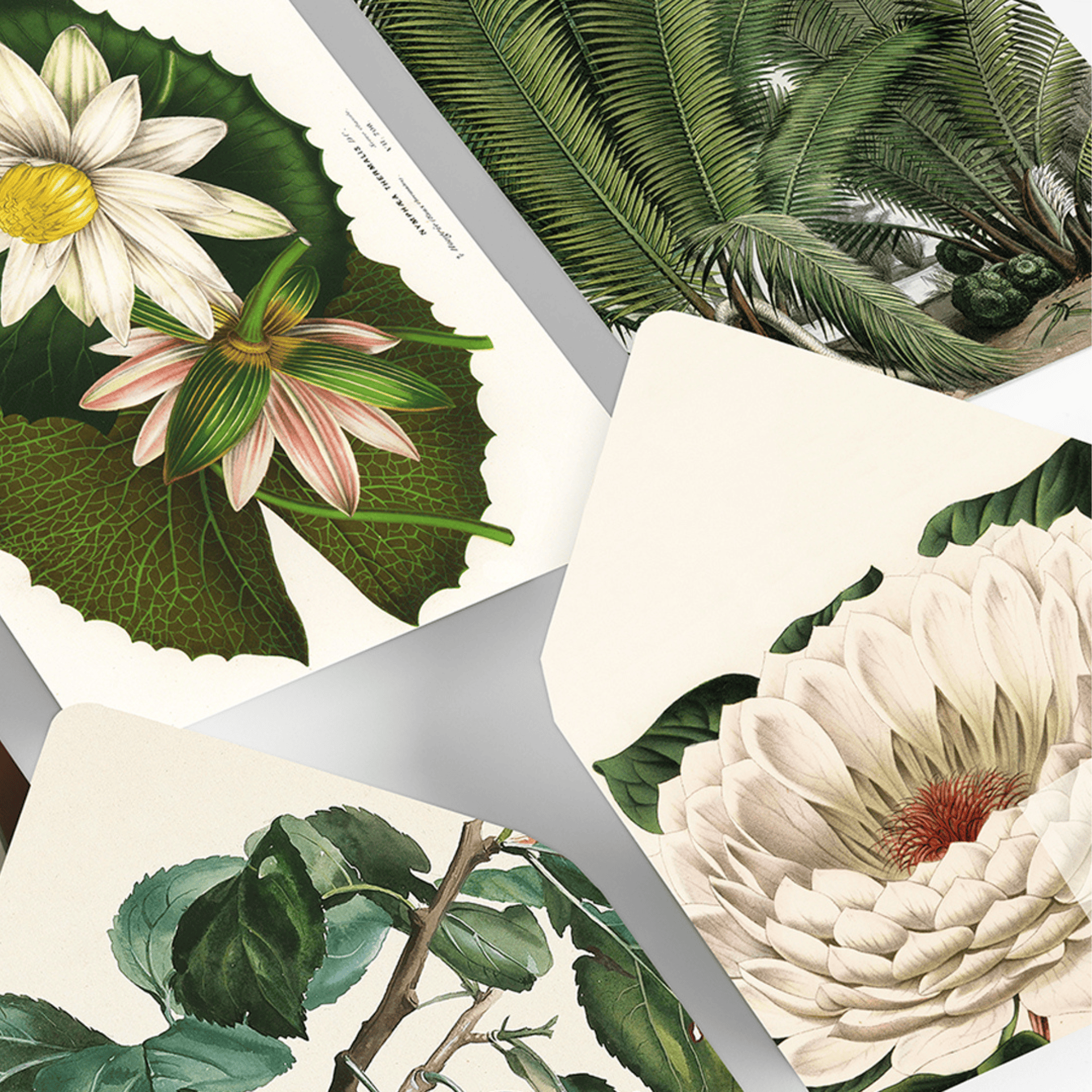 Pepin Press Carte da lettere Correspondence Set - Botanical