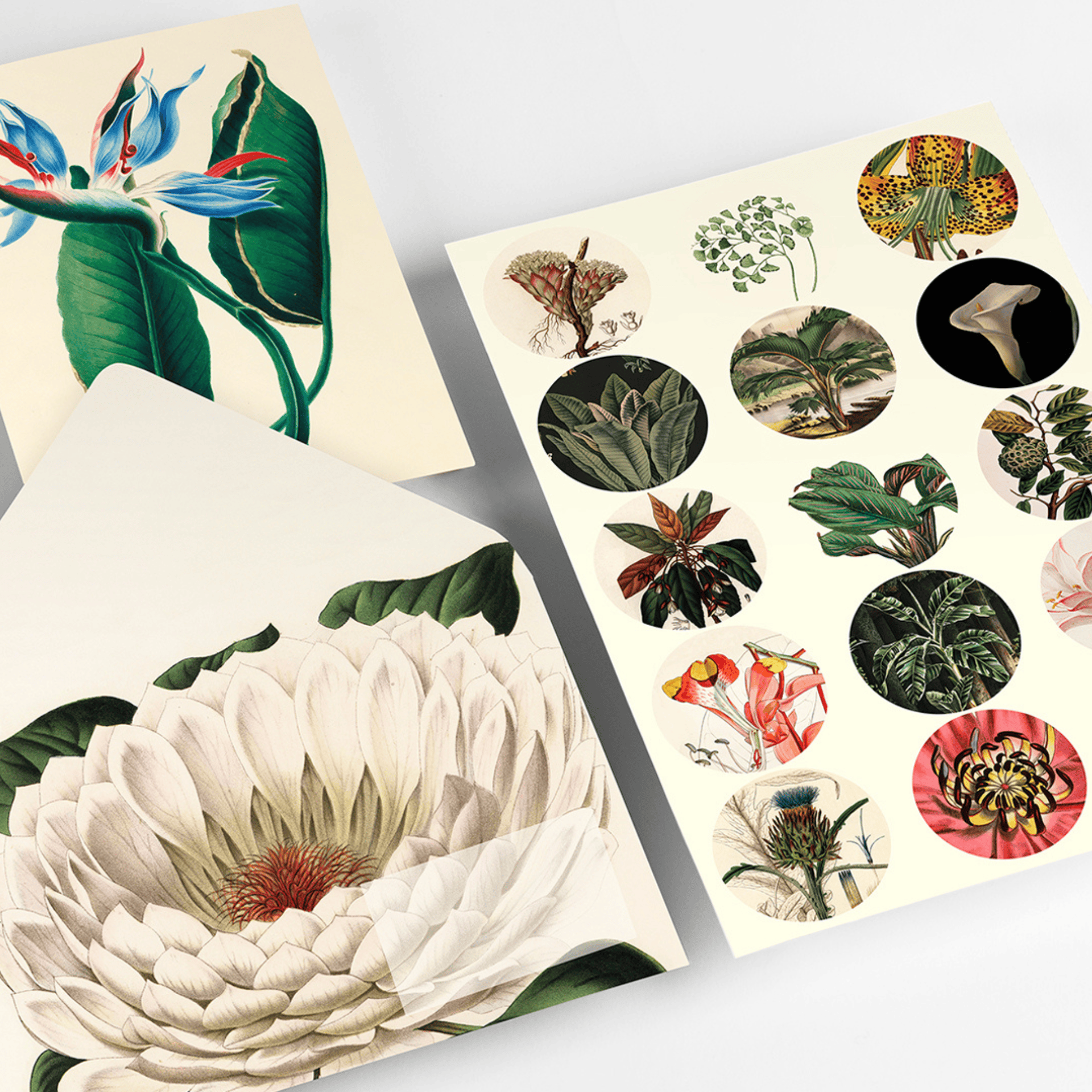 Pepin Press Carte da lettere Correspondence Set - Botanical