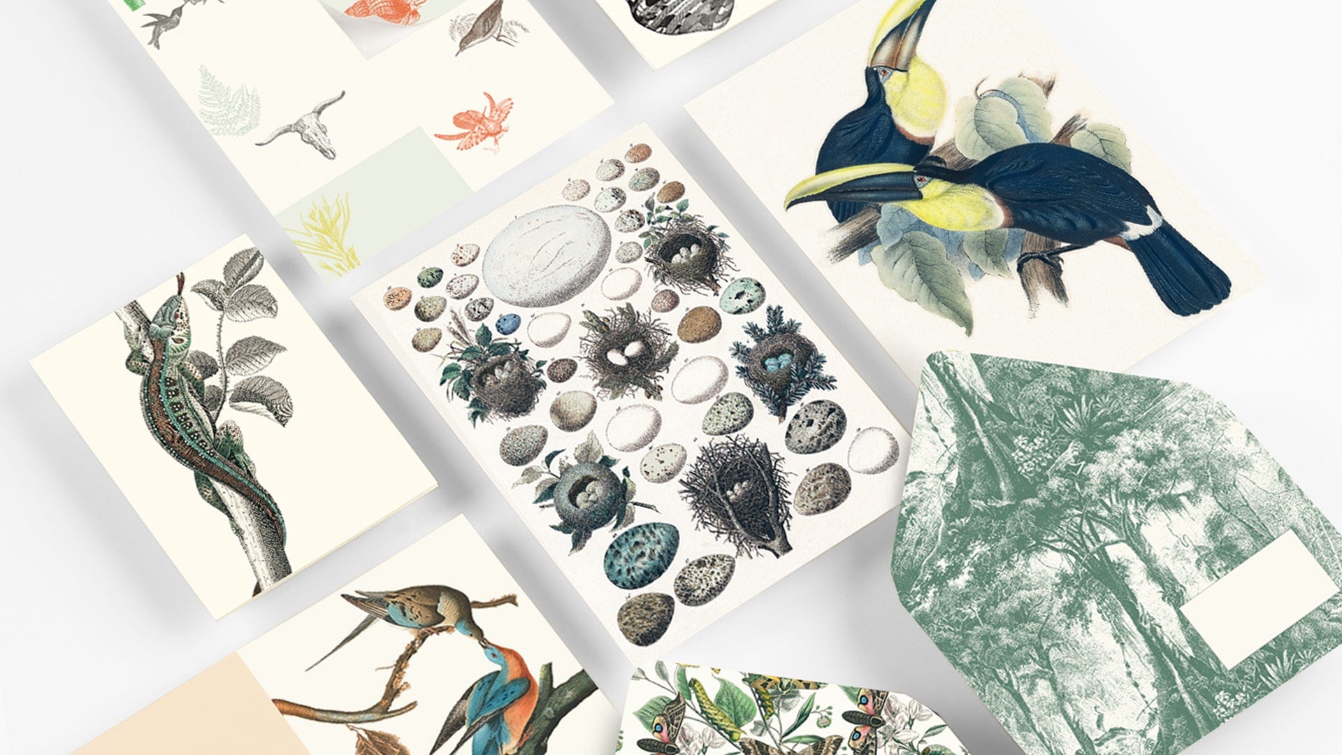 Pepin Press Carte da lettere Correspondence Set - Natural History