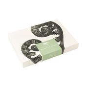 Pepin Press Carte da lettere Correspondence Set - Wonderful of Nature by Karl Blossfeldt