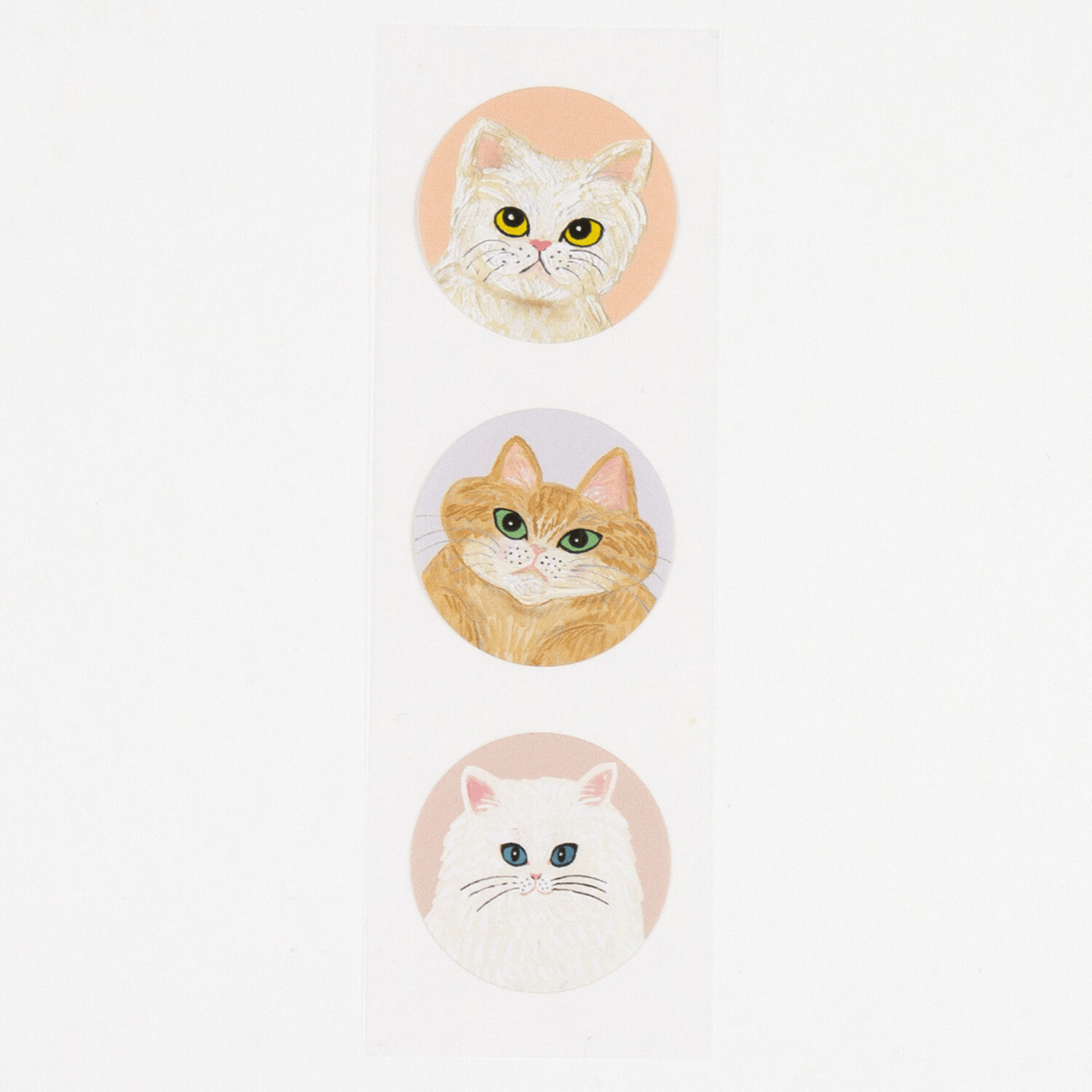 Midori Carte da lettere Set carta da lettere Greeting Life